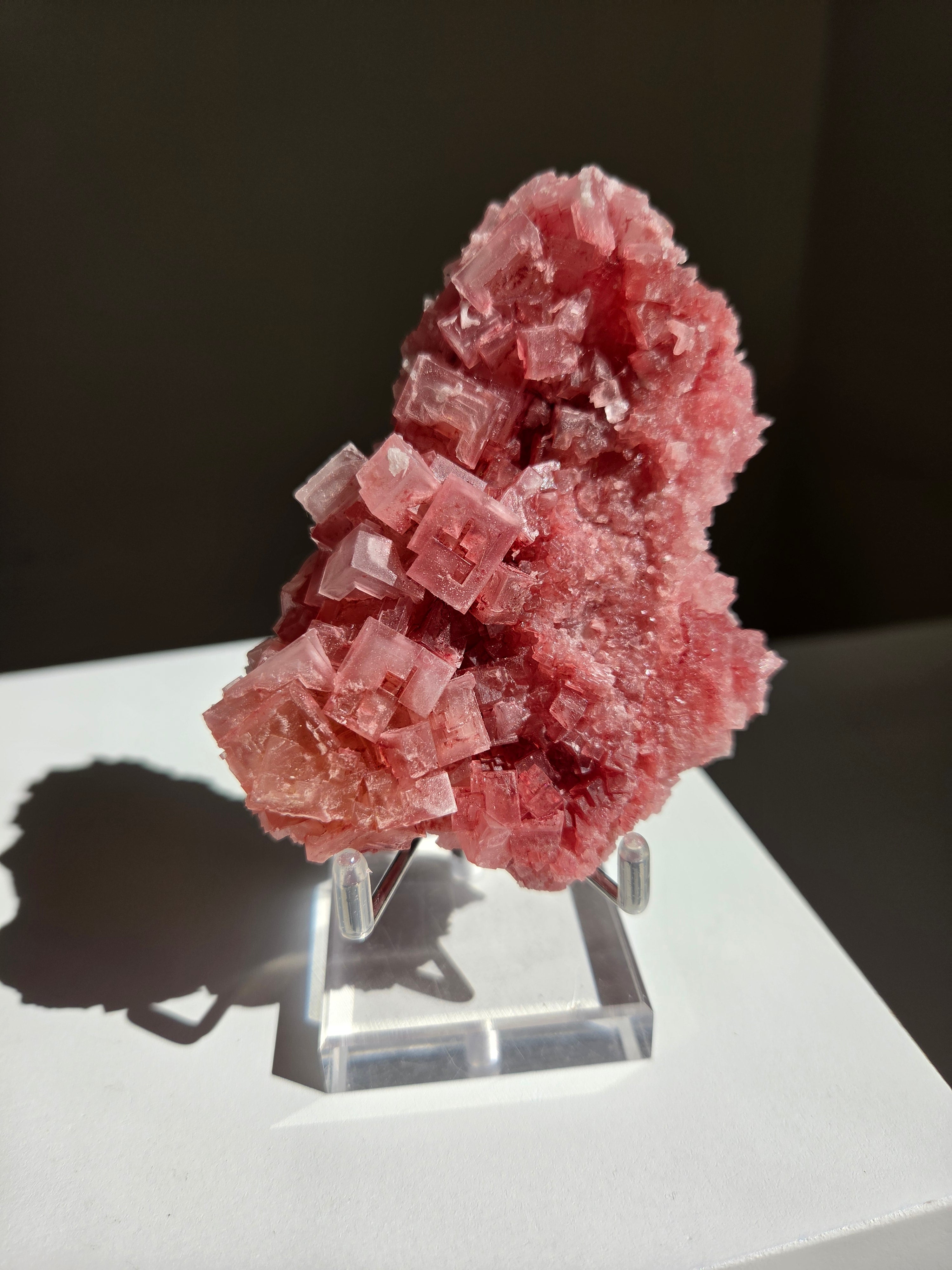 Pink Halite 005