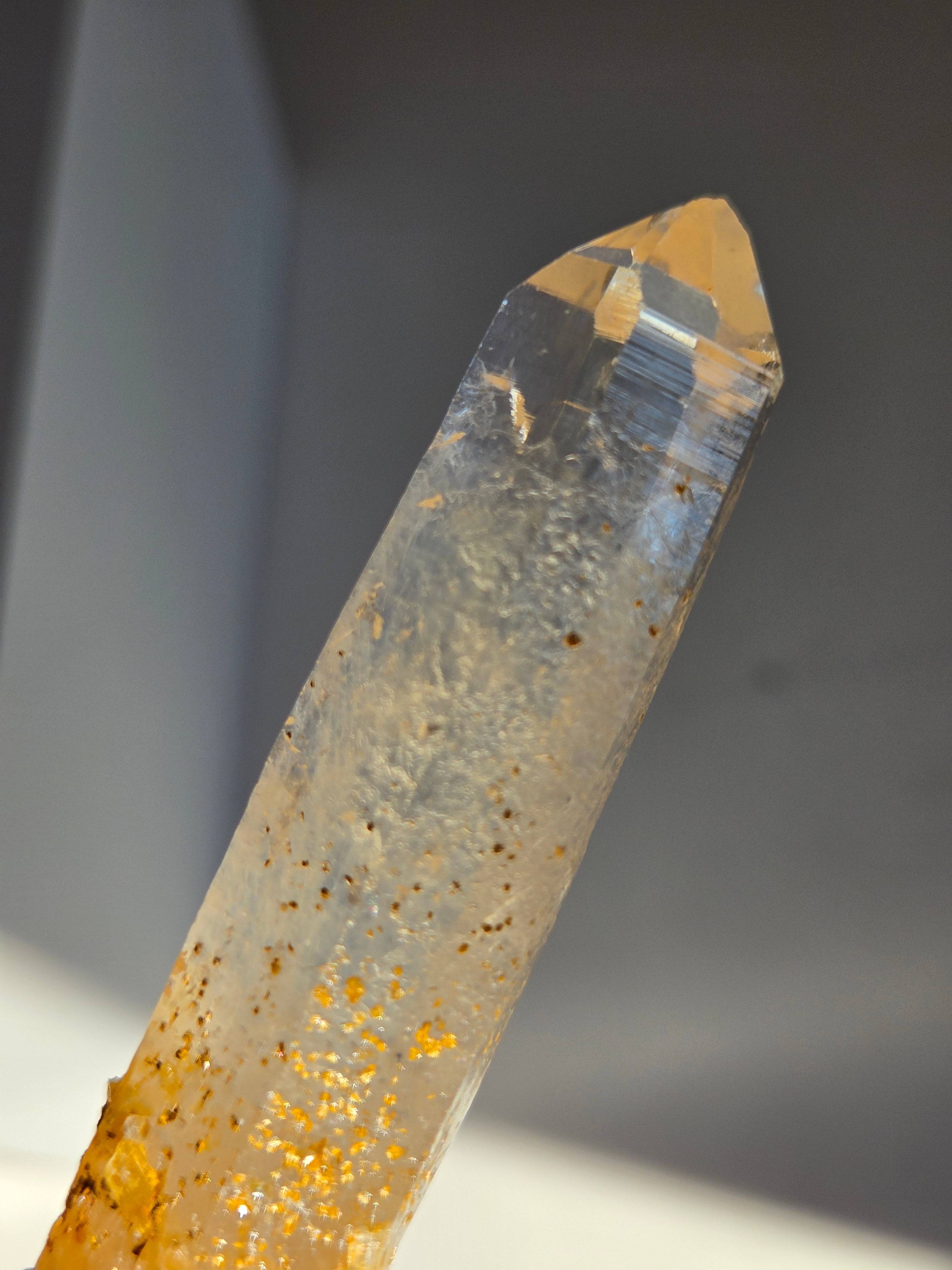 Blue Smoke Colombian Lemurian 006