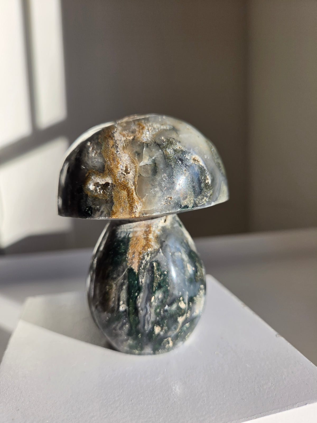 Sea Jasper Mushroom 006