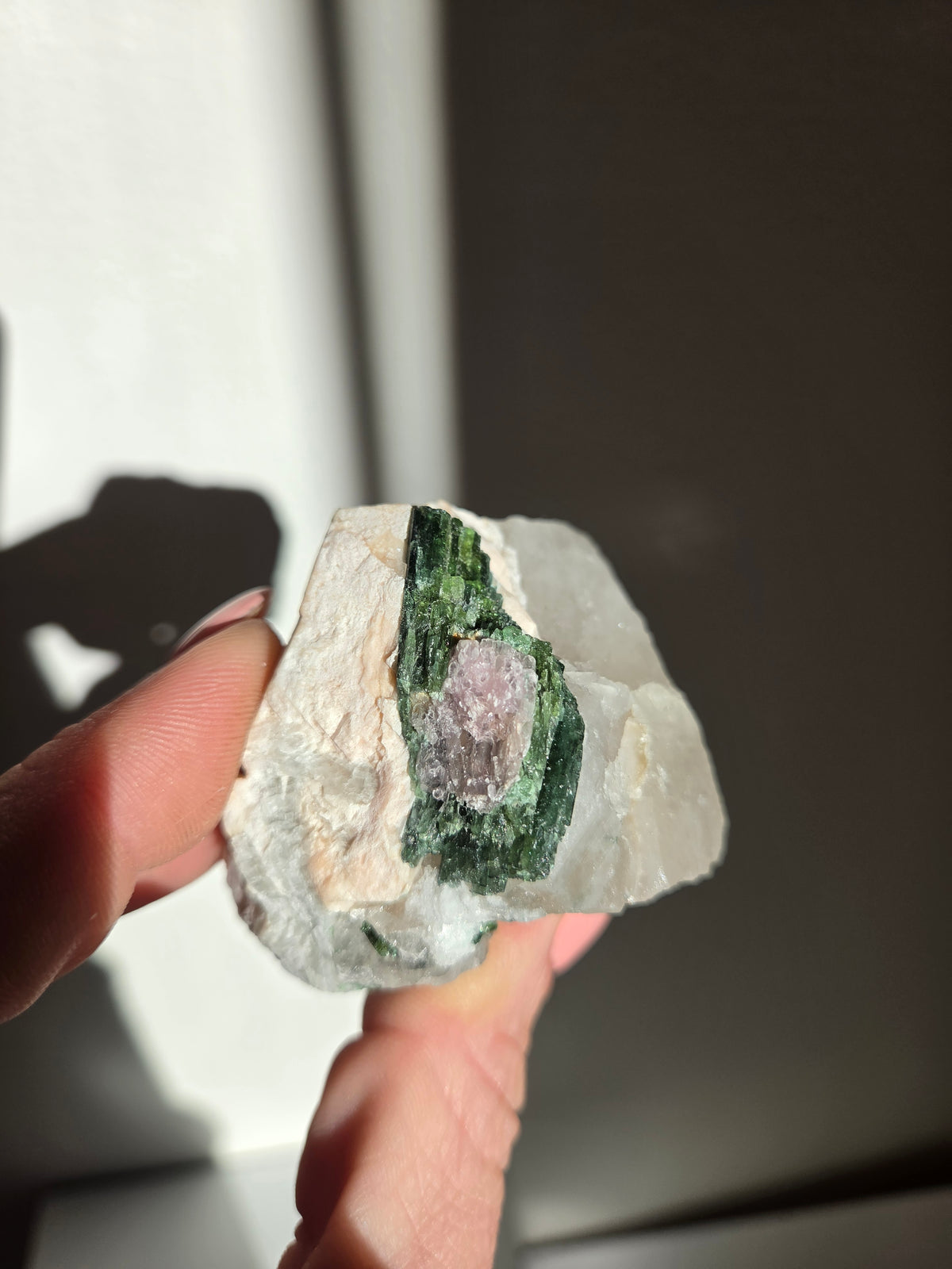 Tourmaline x Quartz Specimen 011