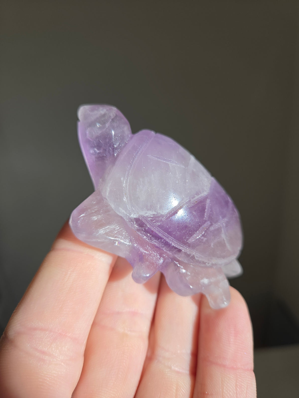 Amethyst Turtle 003