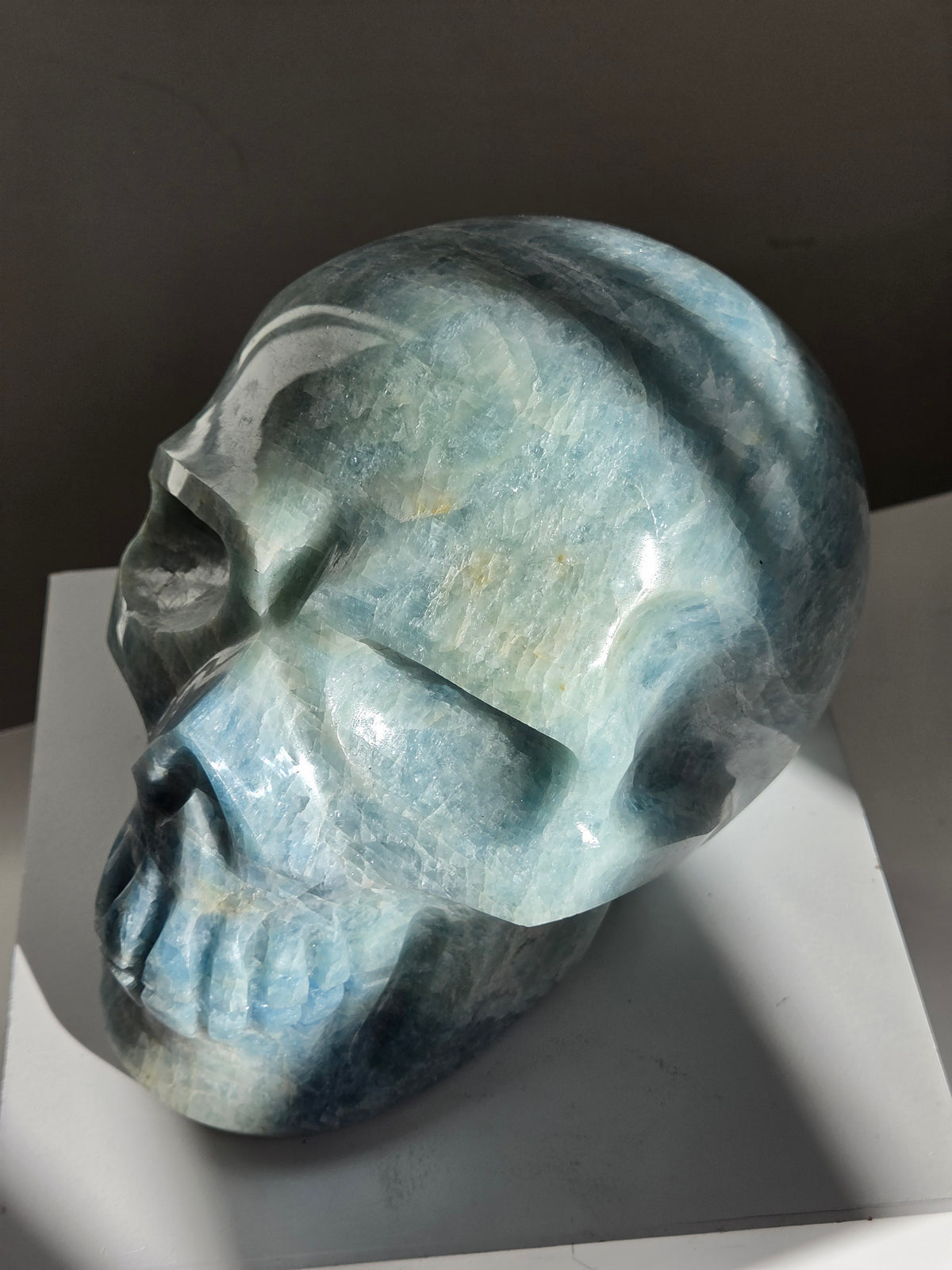 Aquamarine Statement Skull