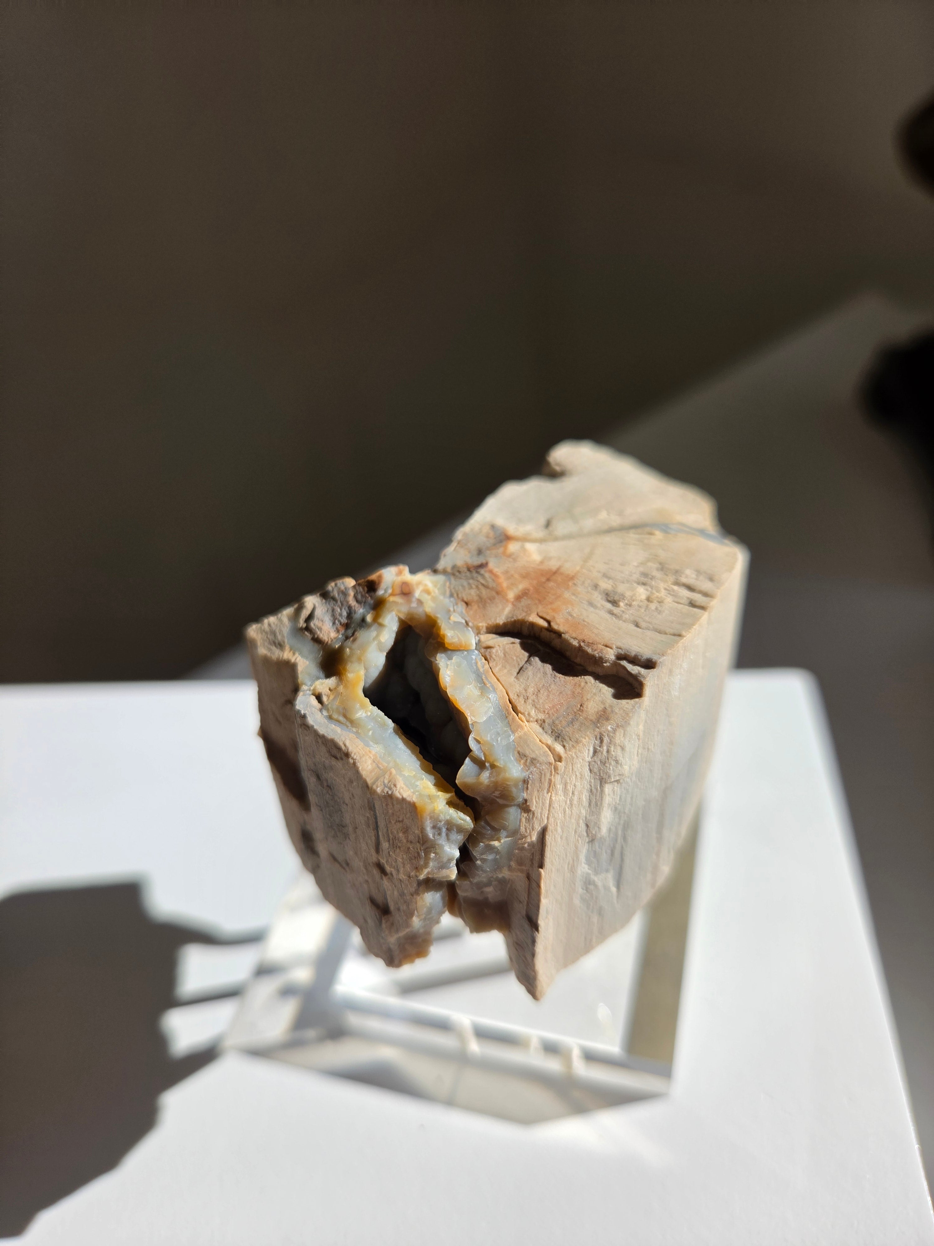 Permineralized Wood x Smoky Quartz 003