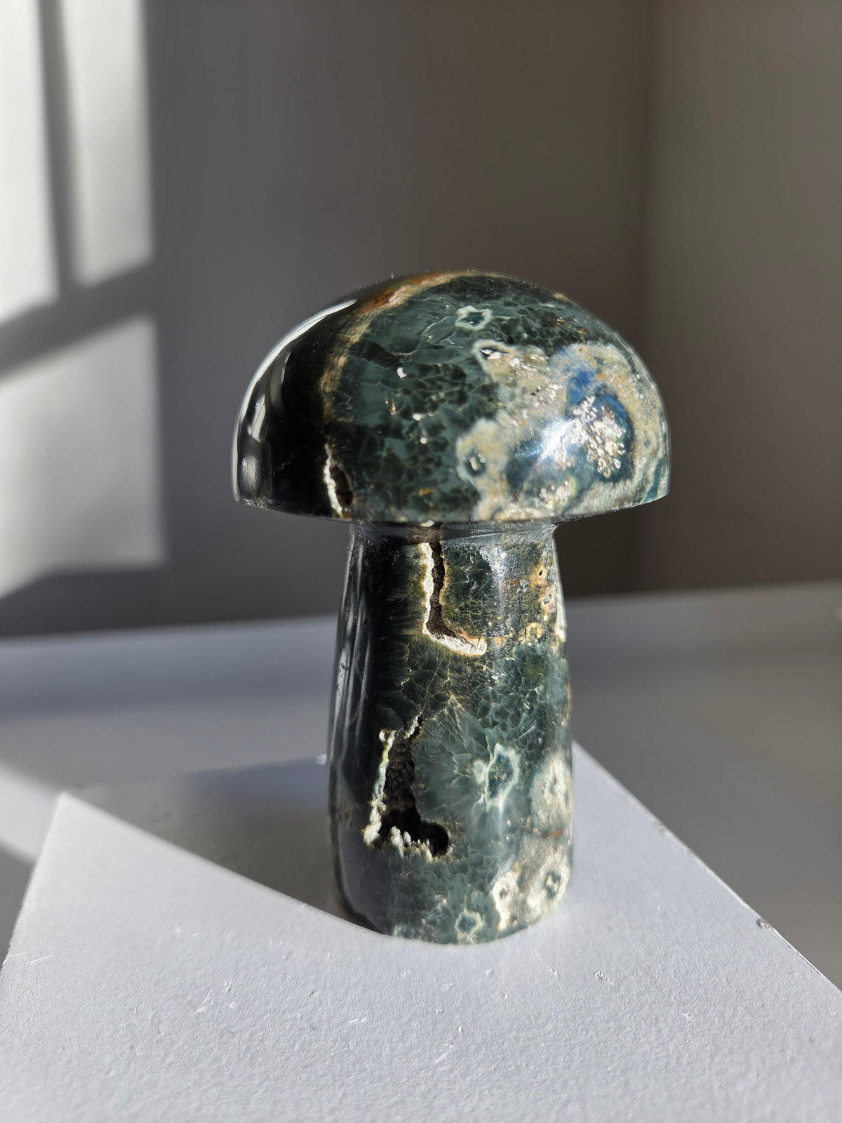 Sea Jasper Mushroom 002