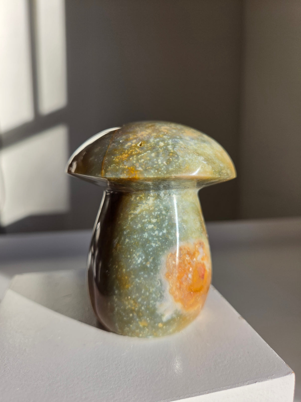 Sea Jasper Mushroom 005