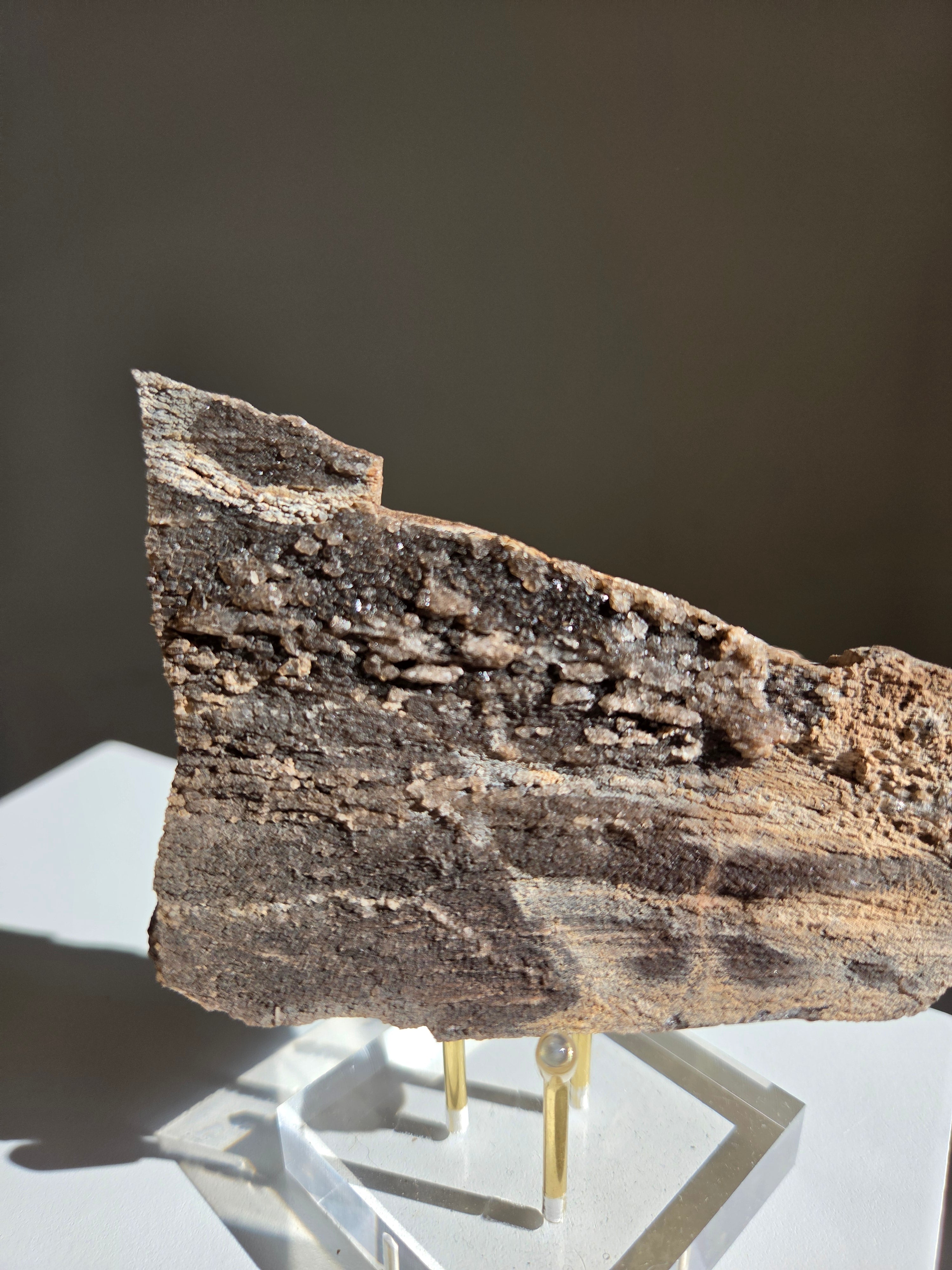 Permineralized Wood x Smoky Quartz 002