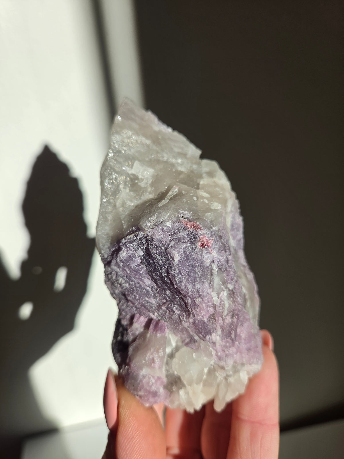Tourmaline x Quartz Specimen 010