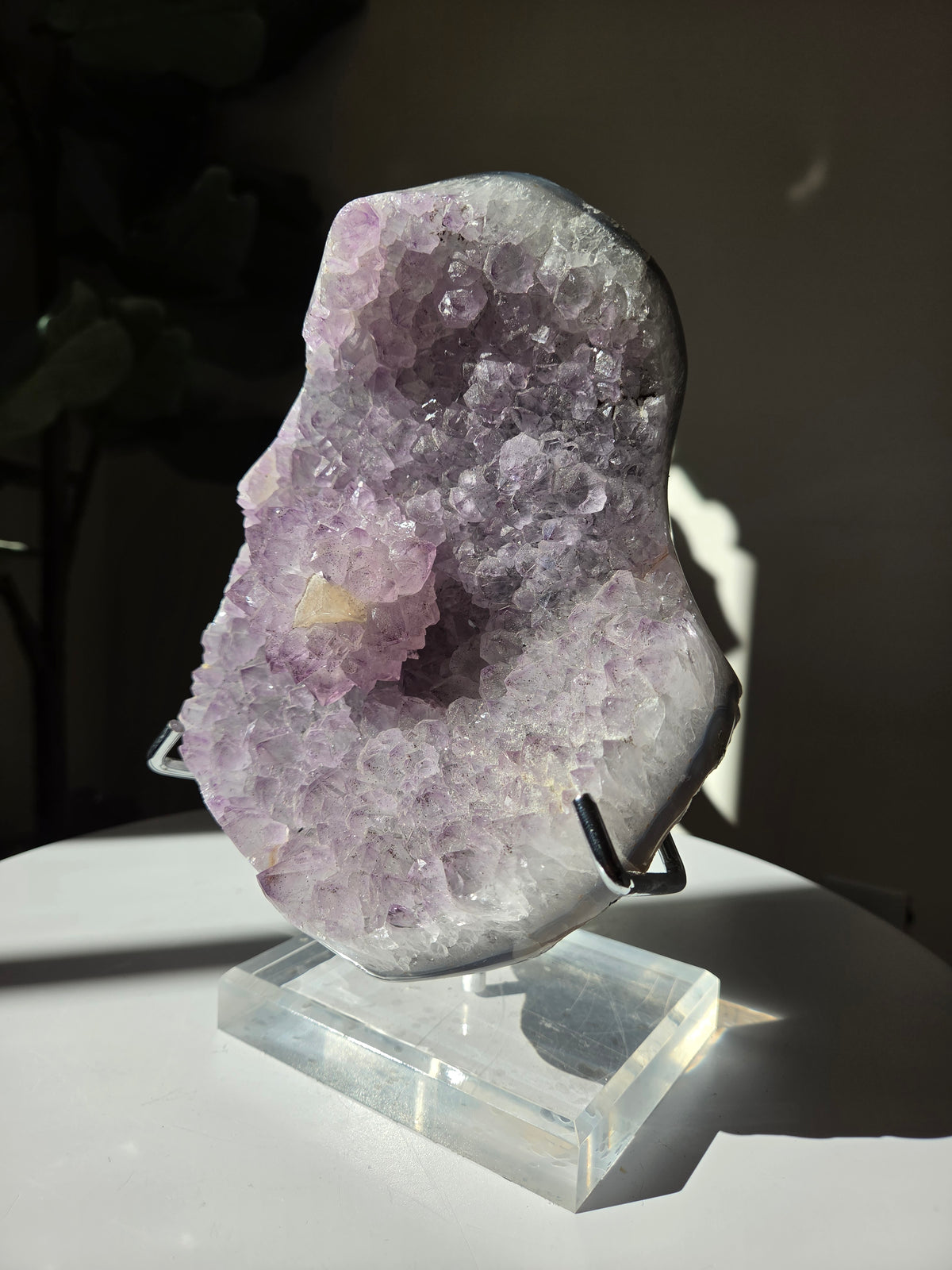 Amethyst Cluster Statement on Stand