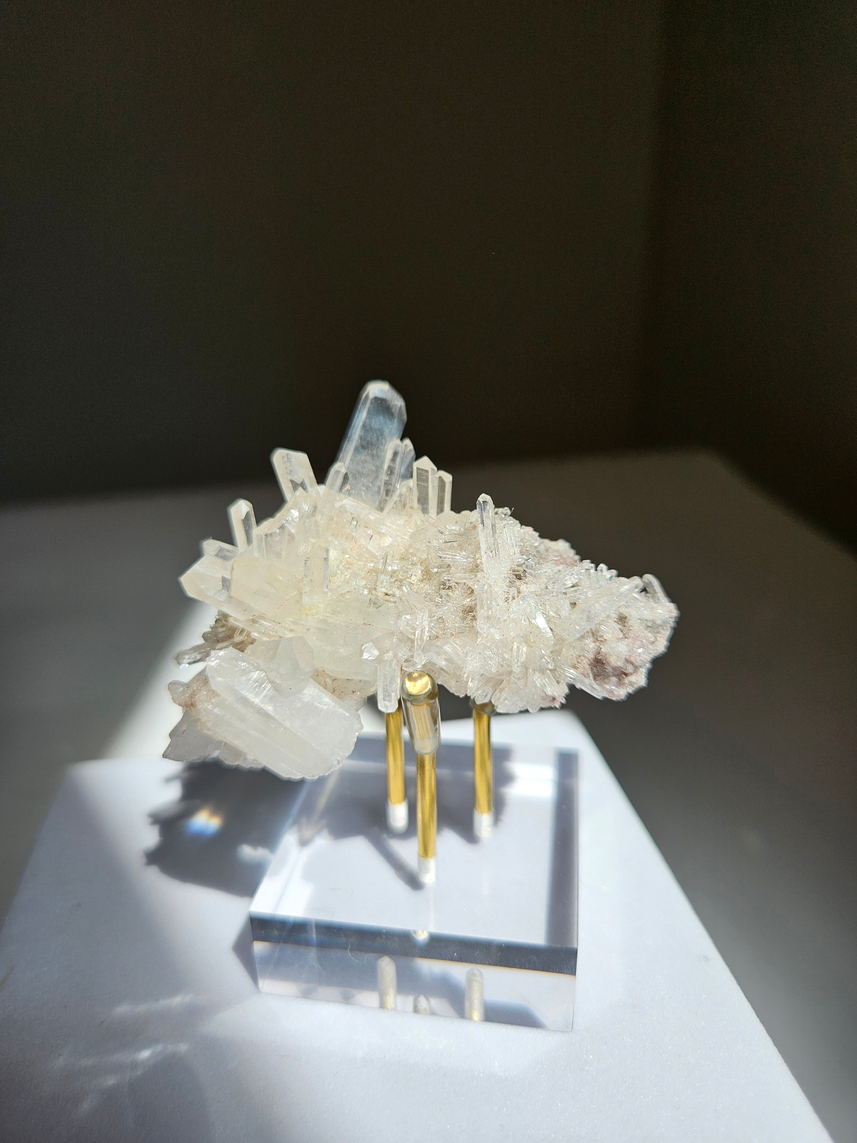 Colombian Lemurian 002