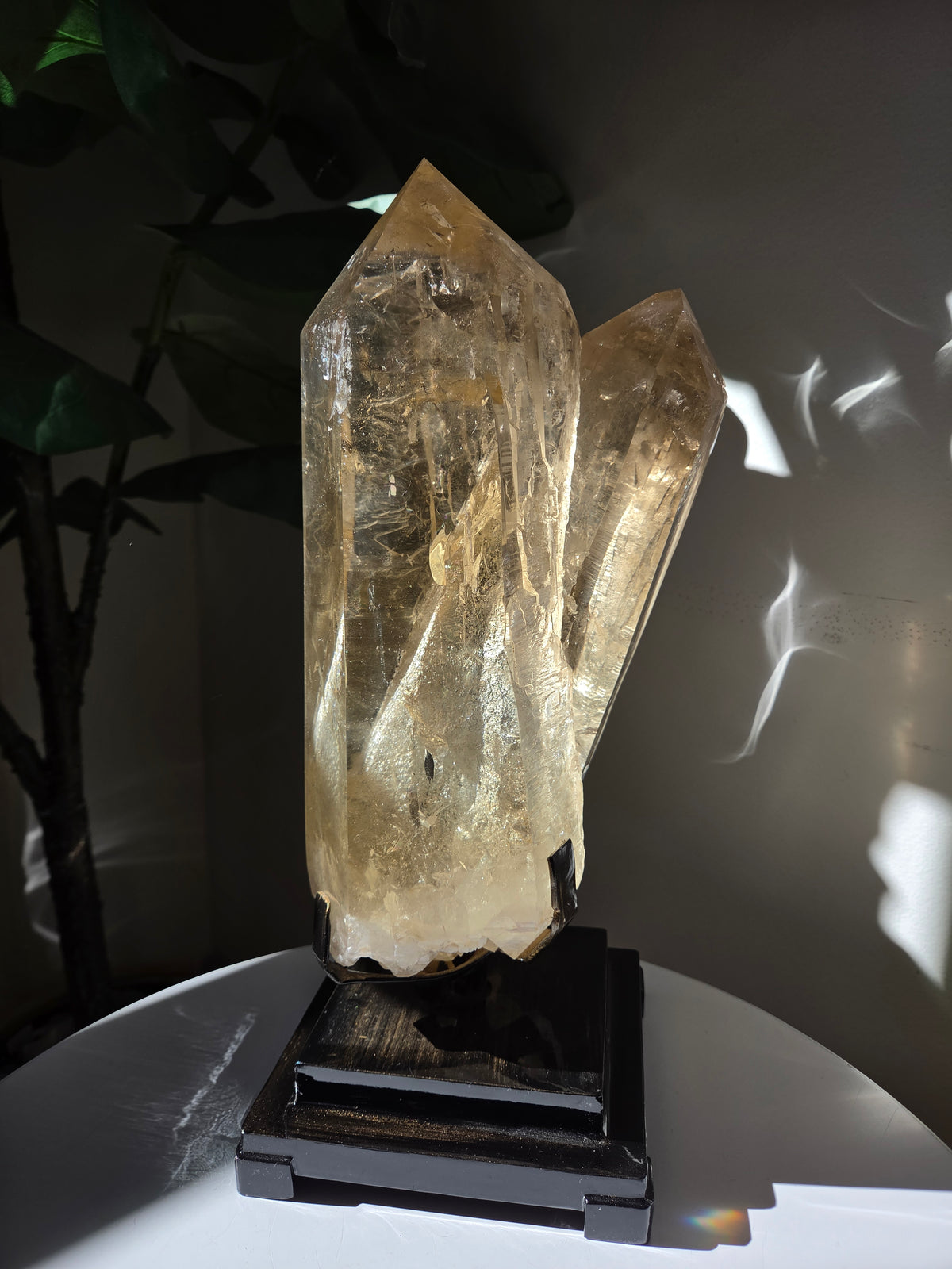 Semipolished Citrine Lemurian Twin Statement