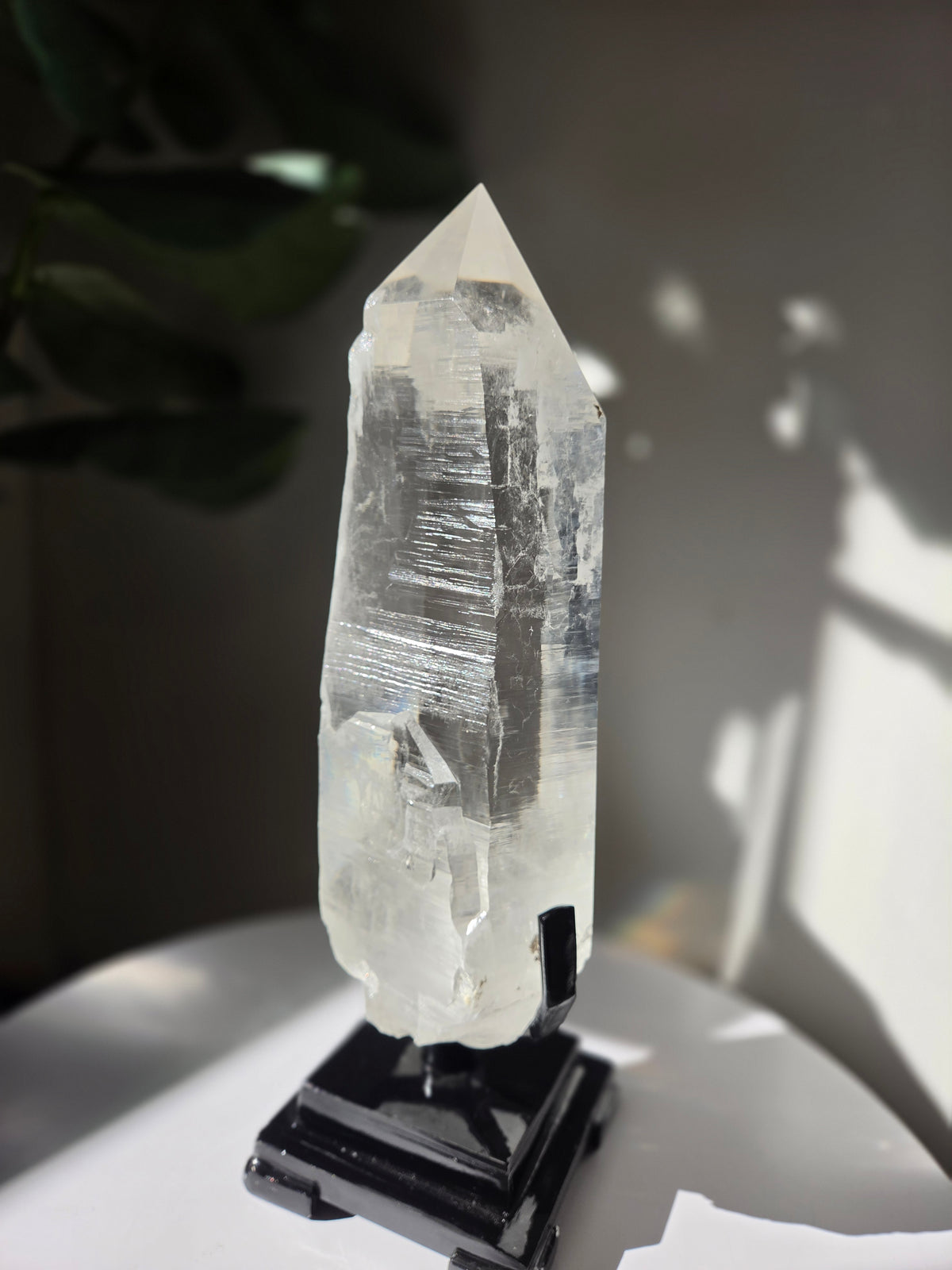 Semipolished Lemurian Quartz Statement