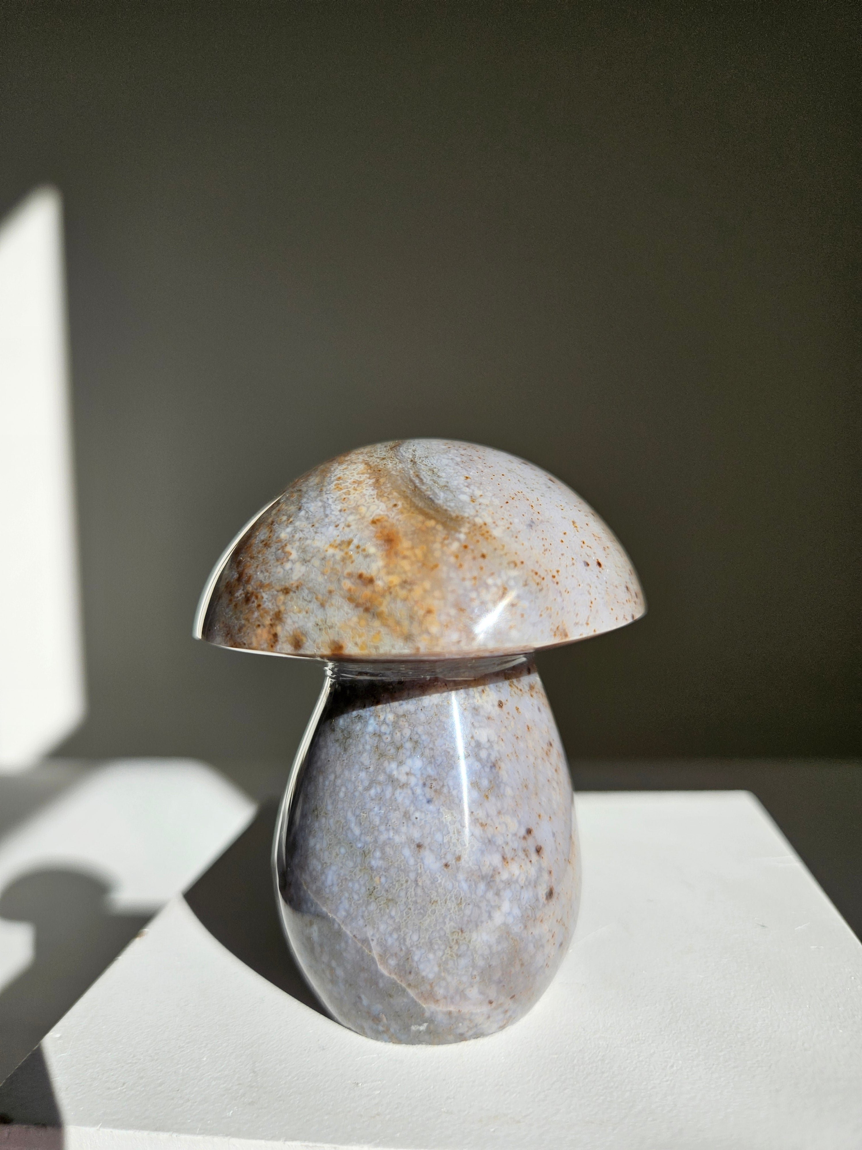Sea jasper mushroom 007