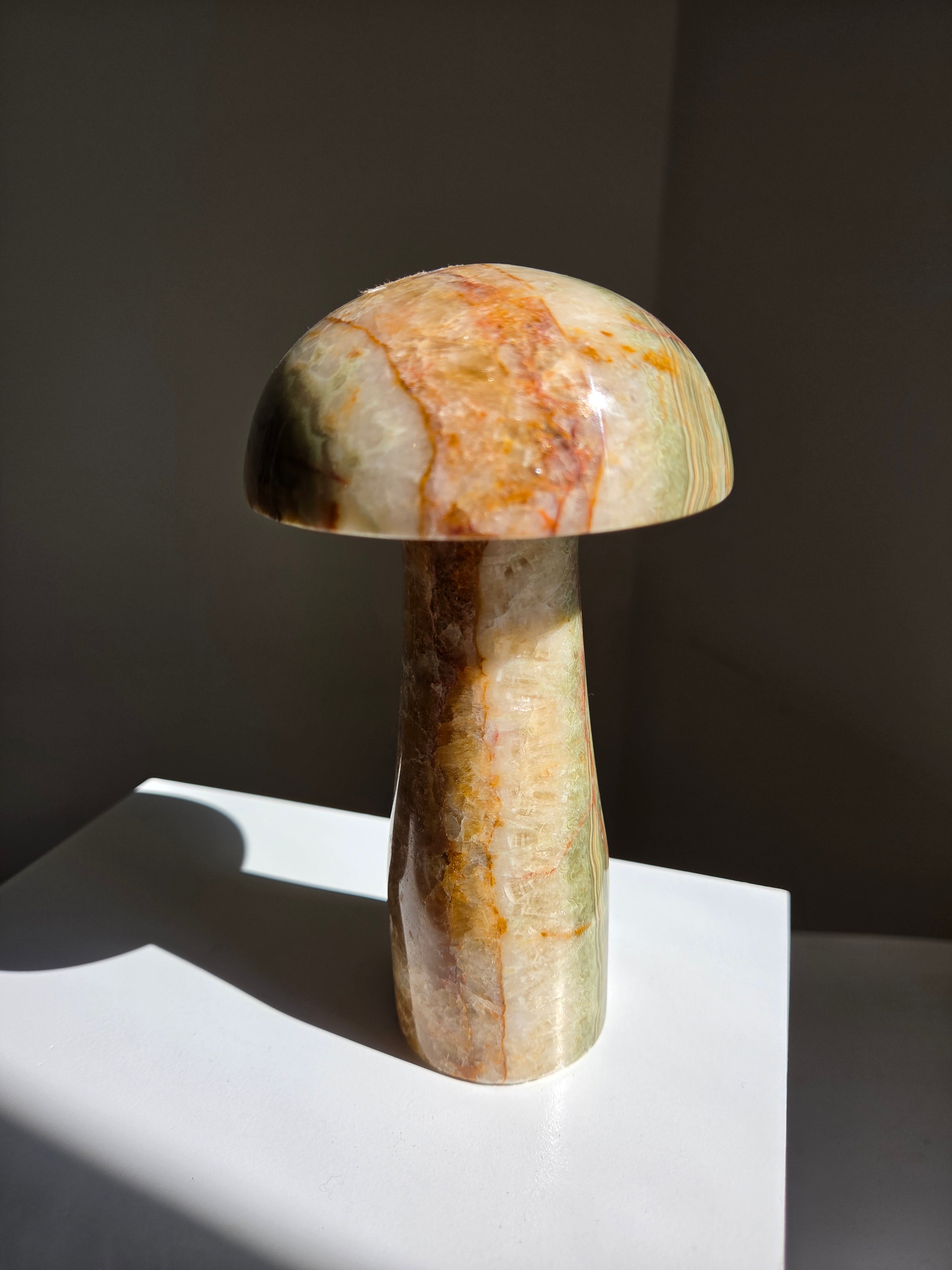 Onyx Mushroom | intuitively selected