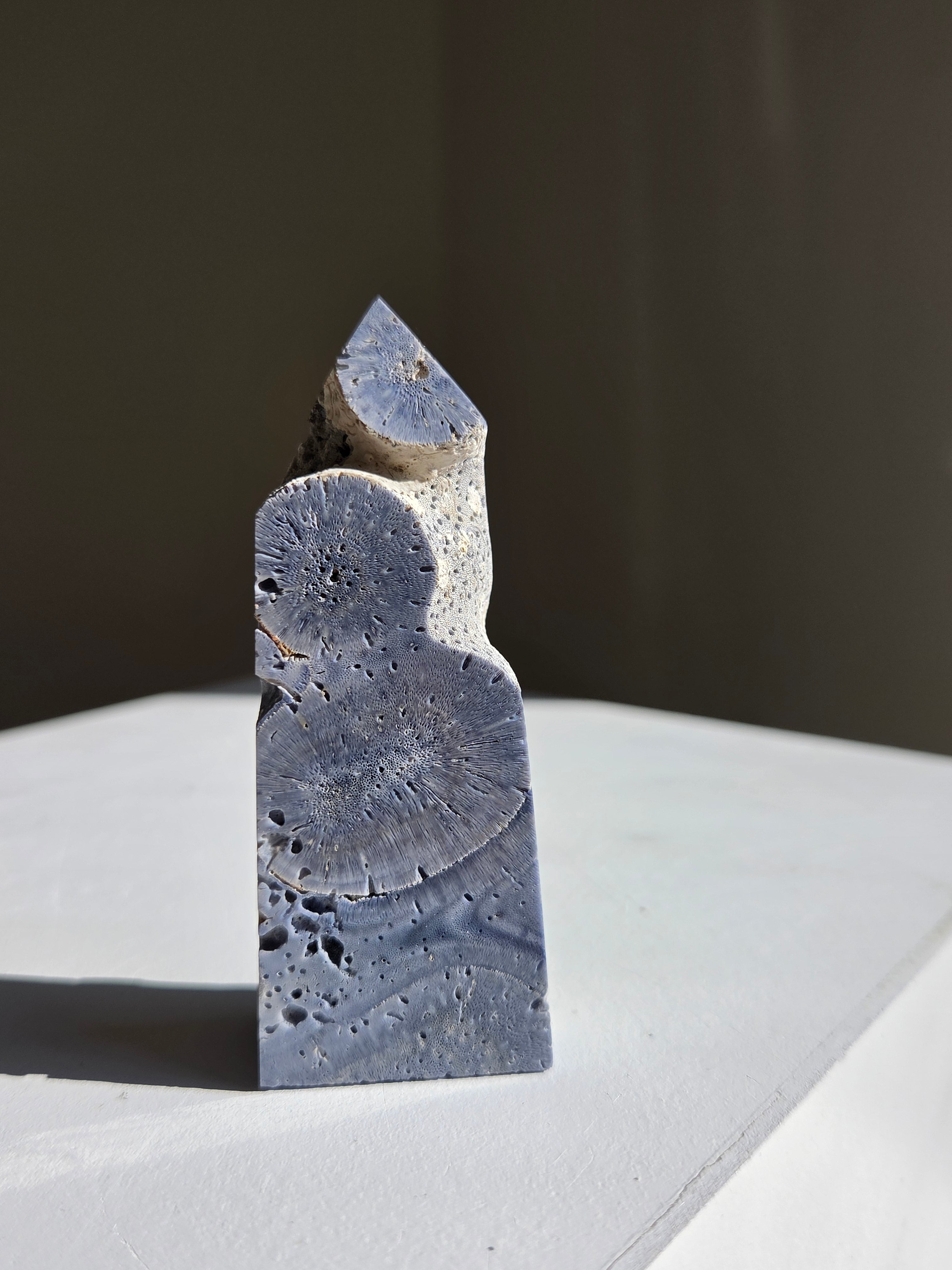 Blue Coral Tower 006