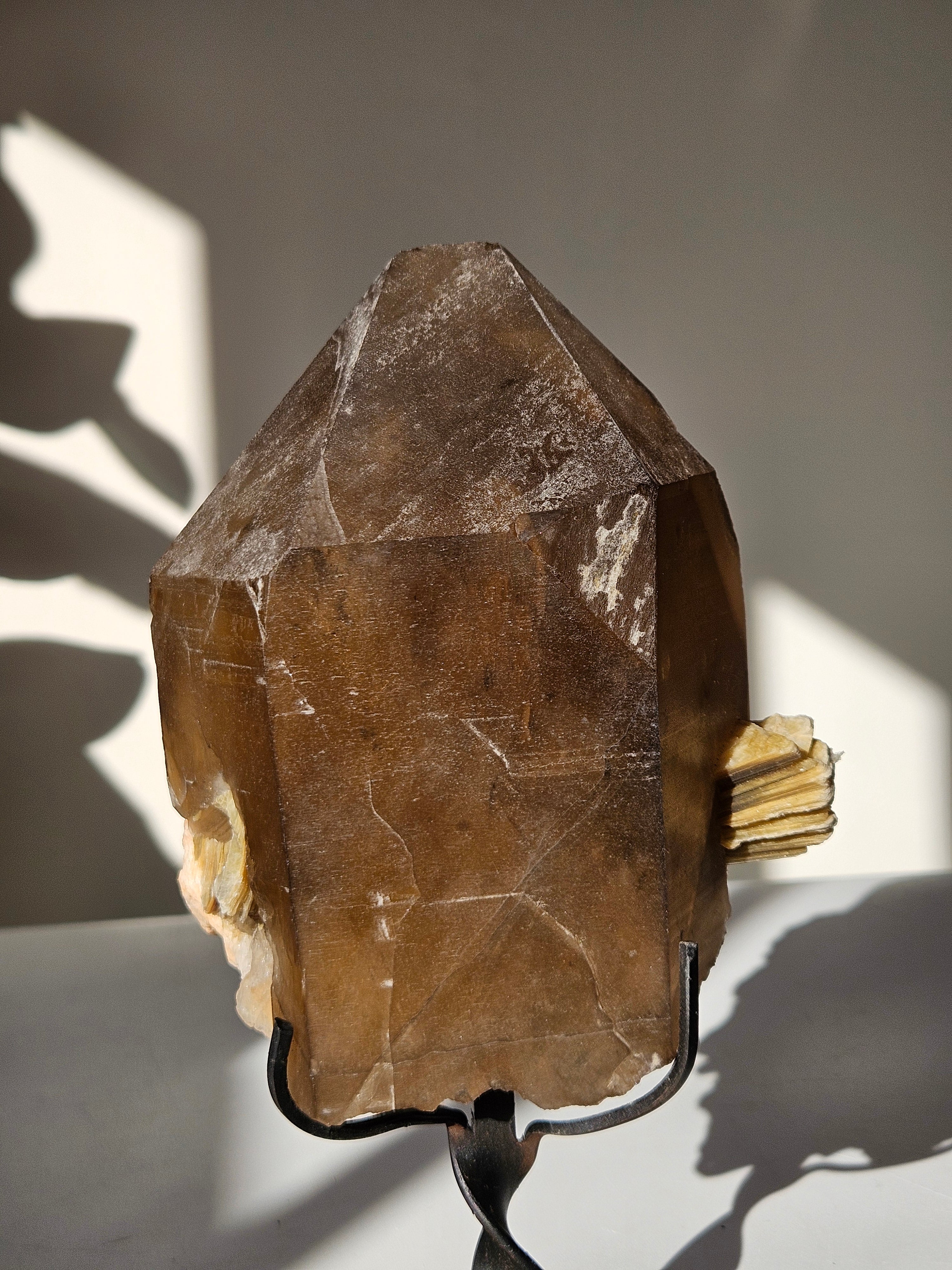 Smoky Quartz x Mica on Stand