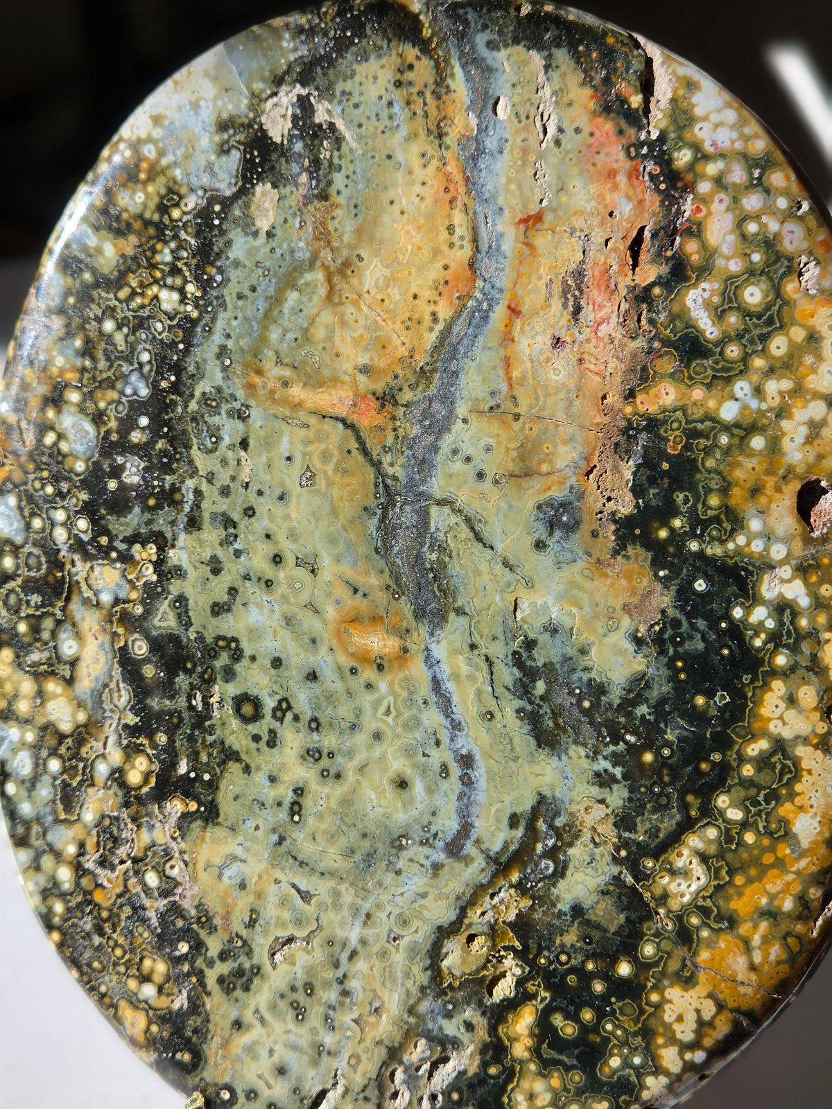 Sea Jasper Slab 011