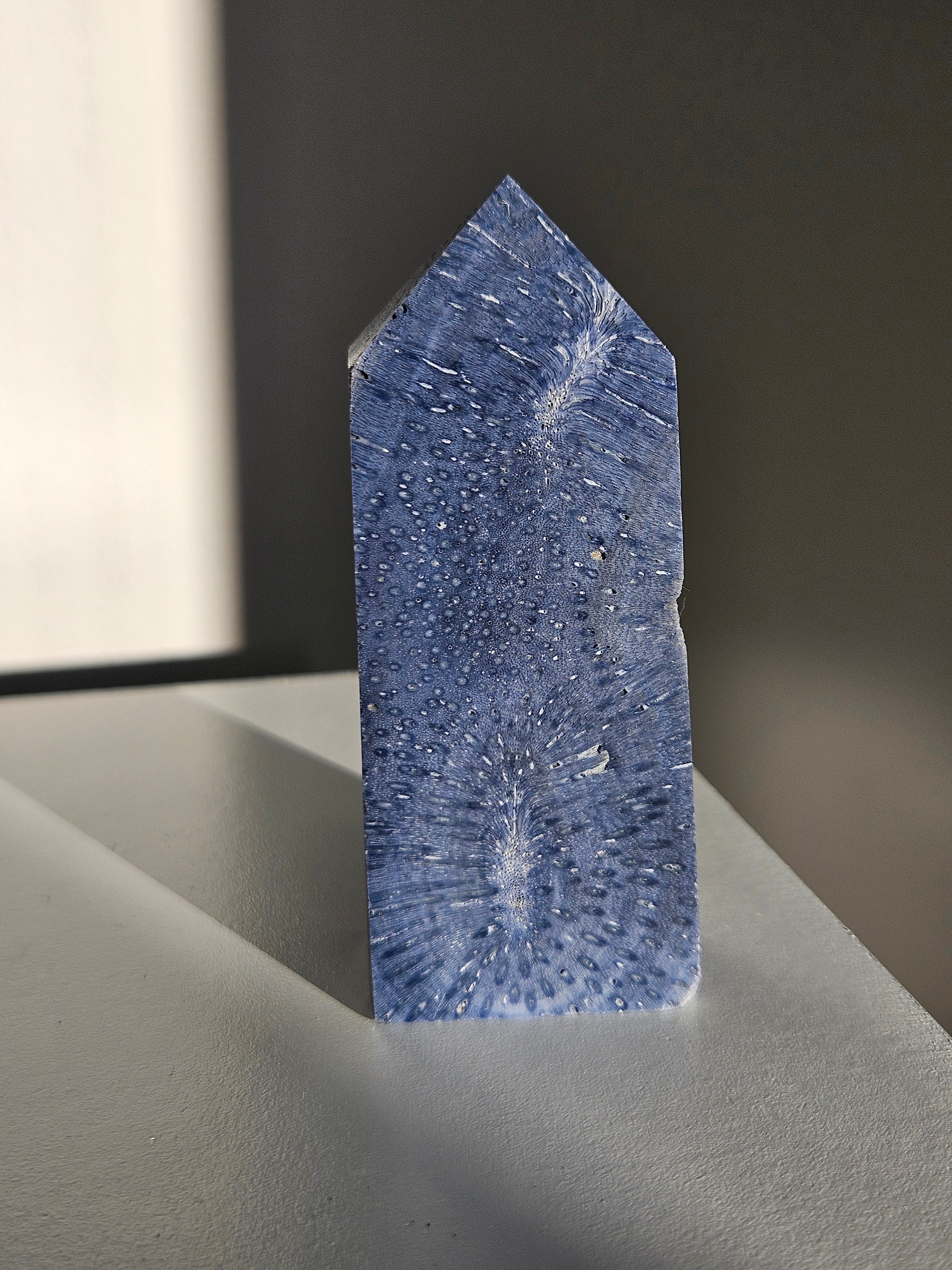 Blue Coral Tower 003