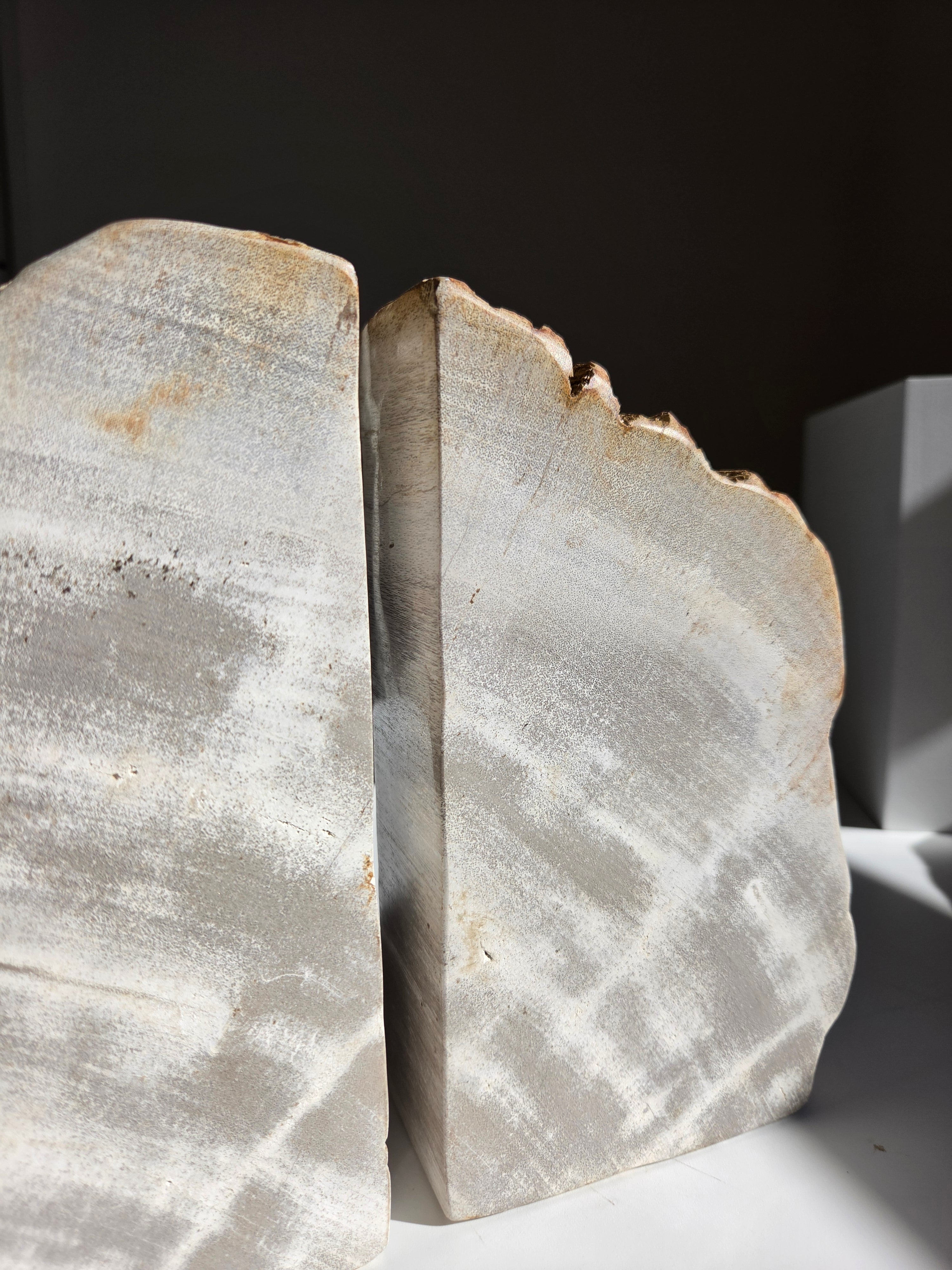 Petrified Wood Bookends 001