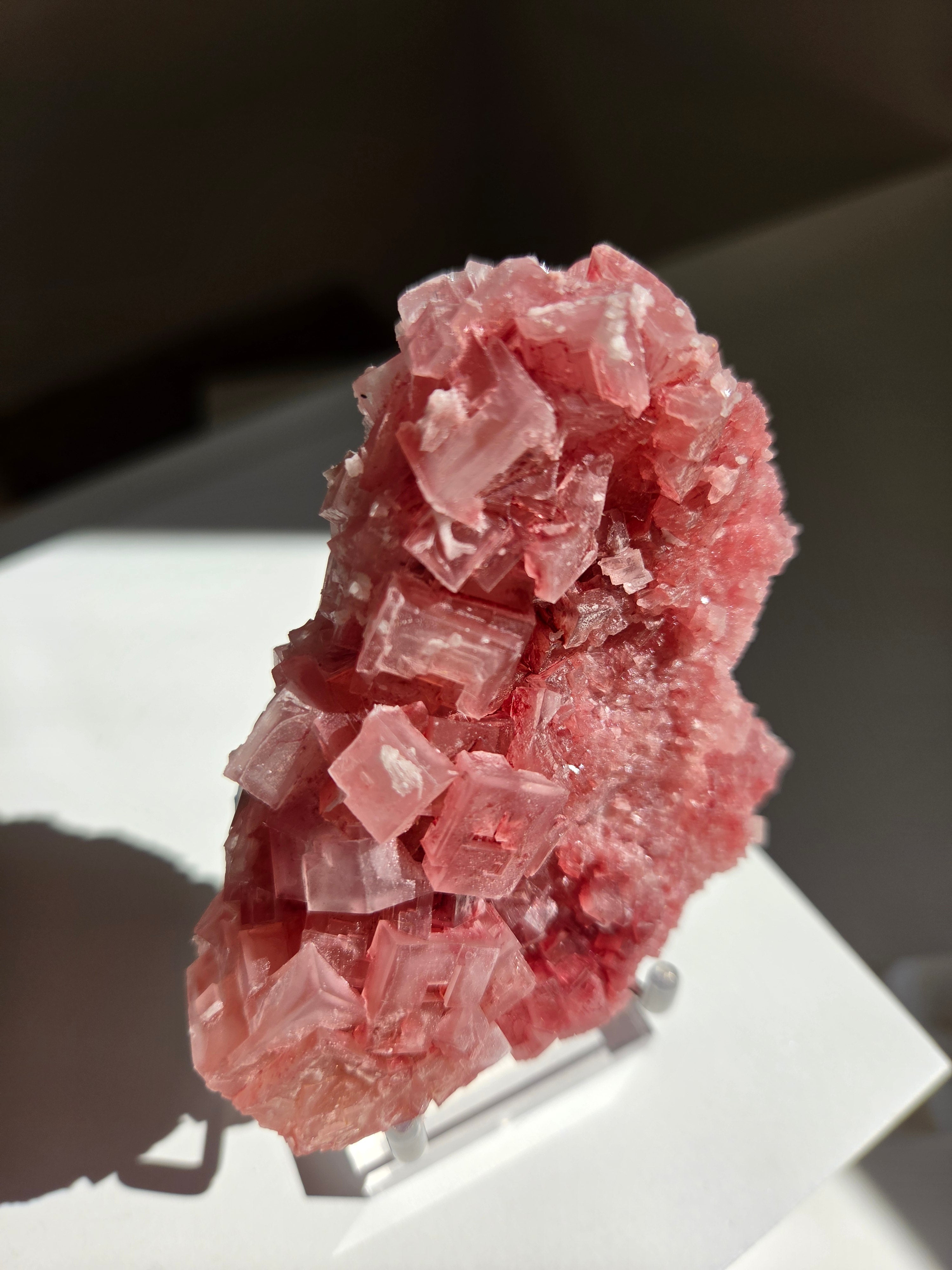 Pink Halite 005