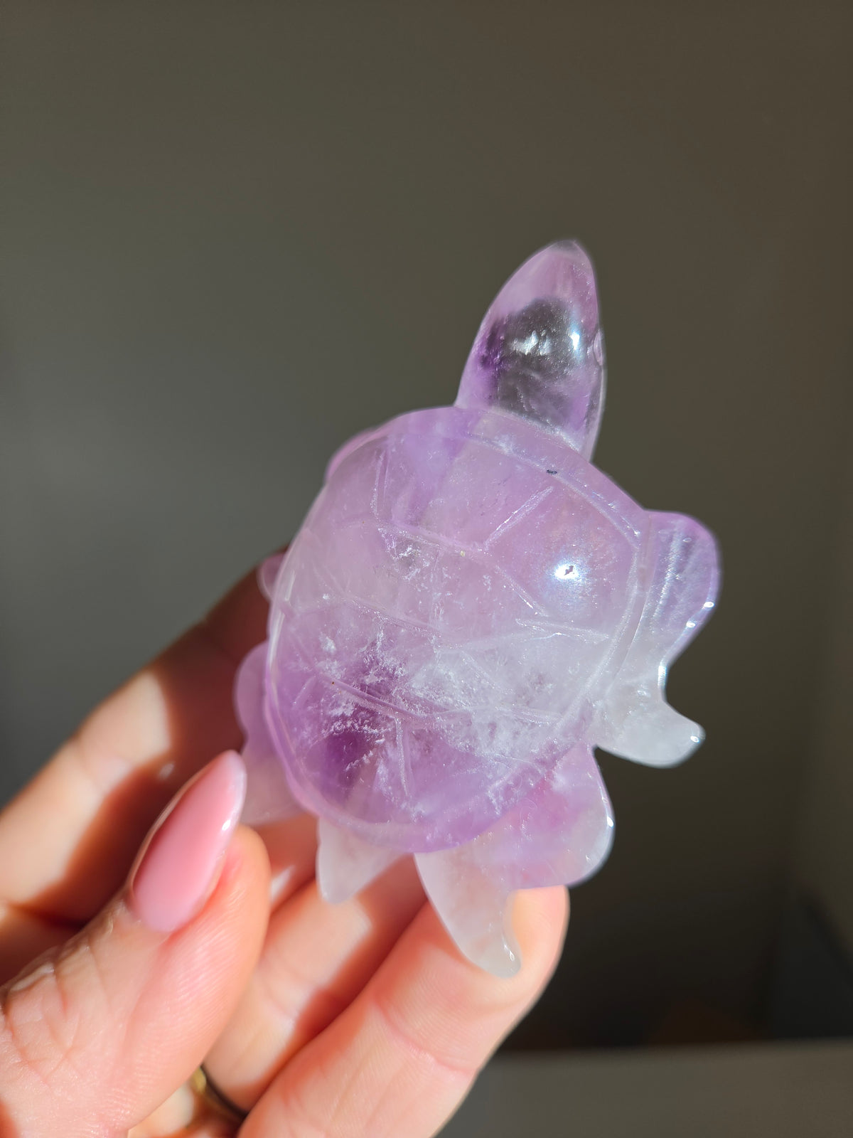 Amethyst Turtle 004