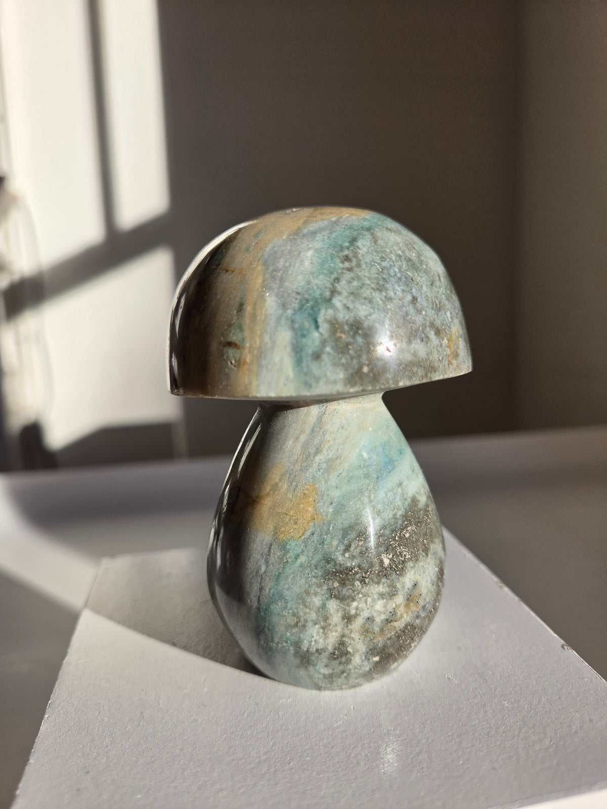 Sea Jasper Mushroom 007
