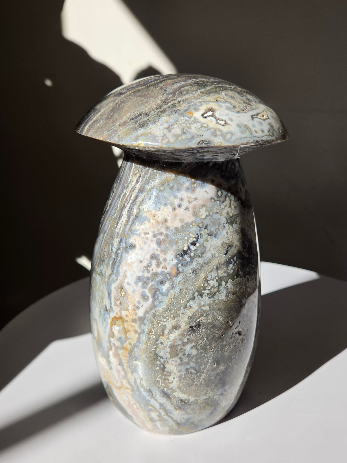 XL Sea Jasper Mushroom 004