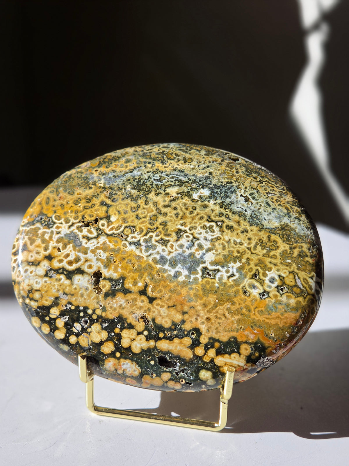 Sea Jasper Slab 010