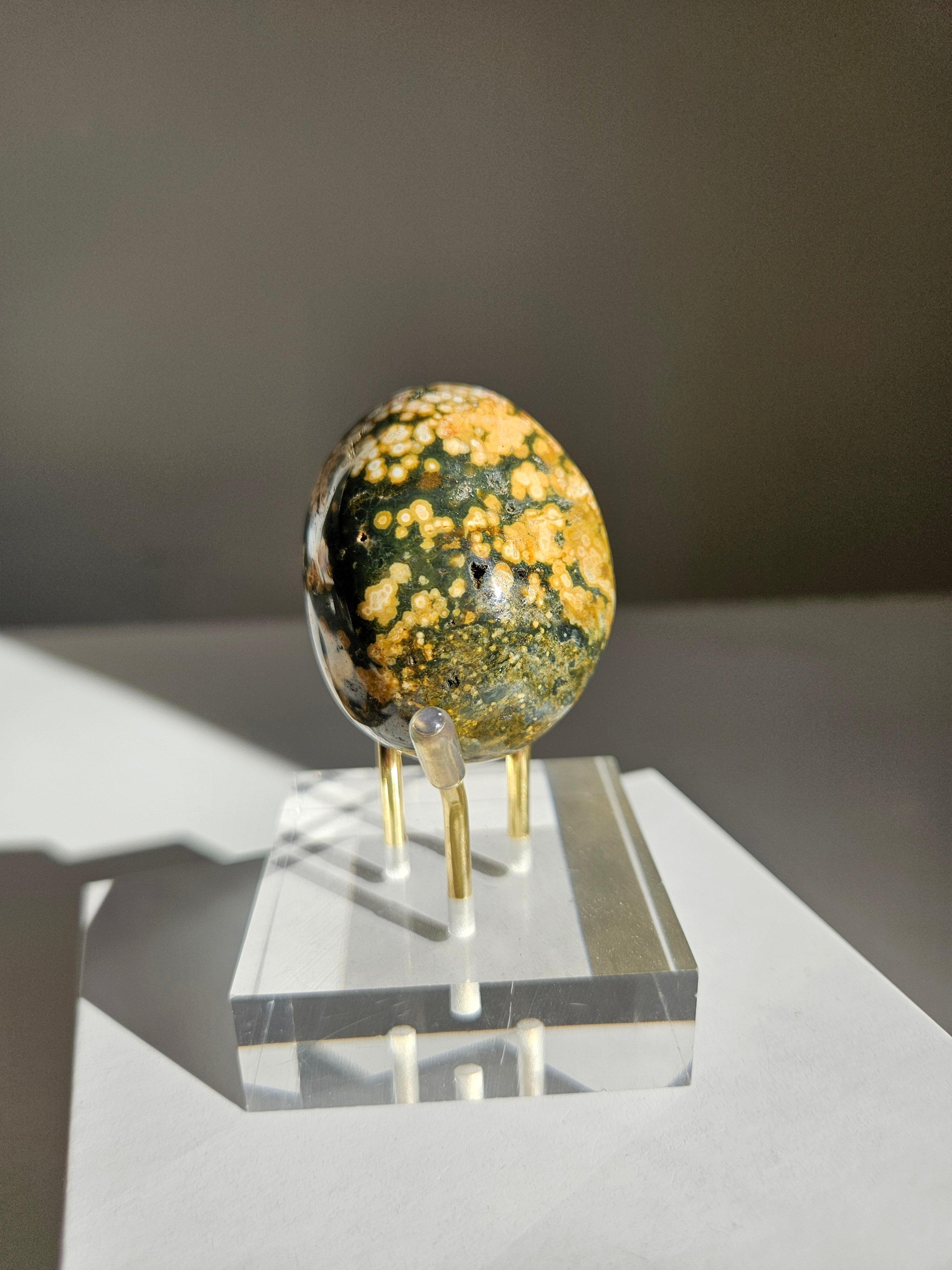 Sea Jasper Palmstone 033