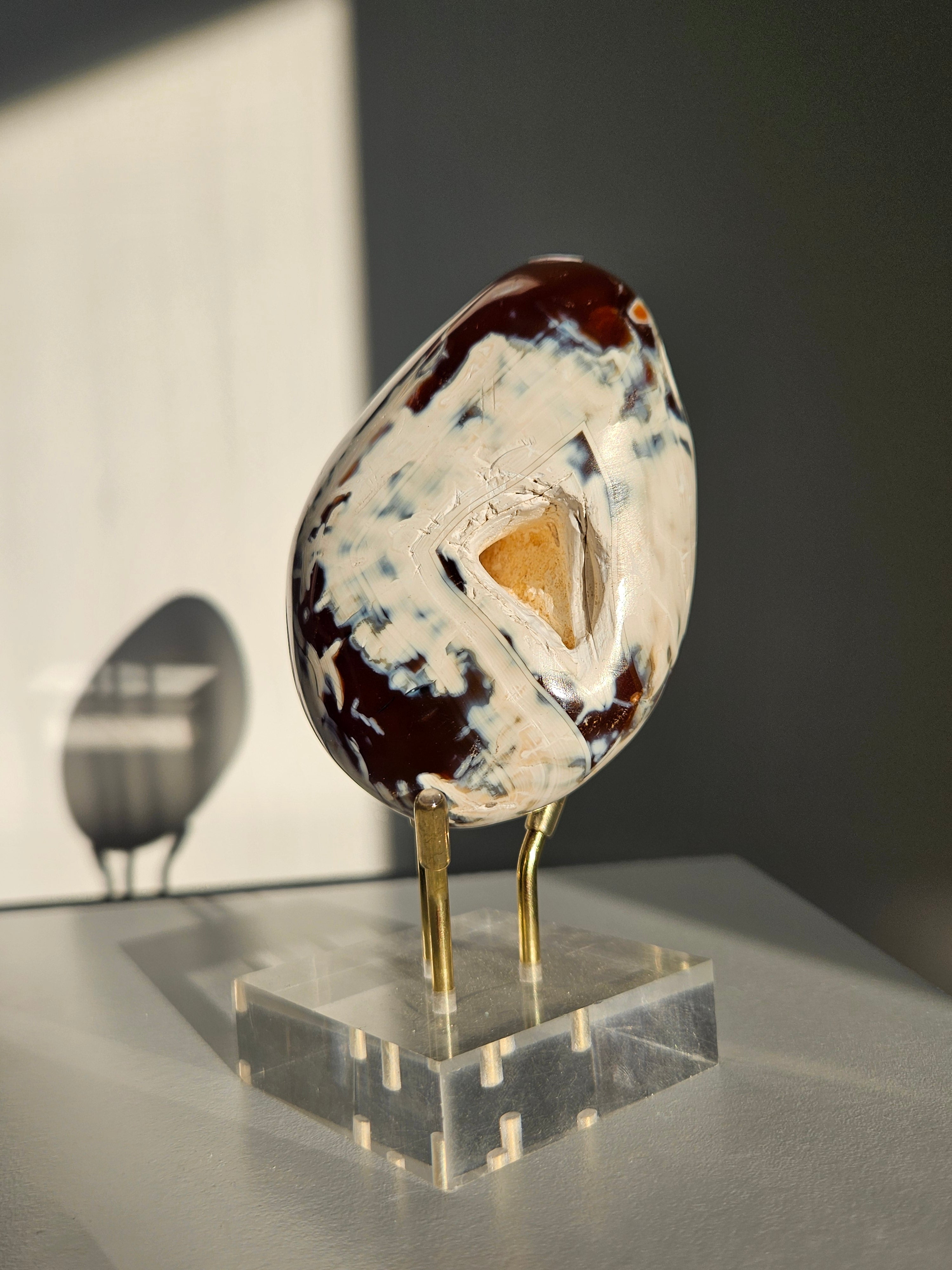 Orca agate x Carnelian Freeform 017