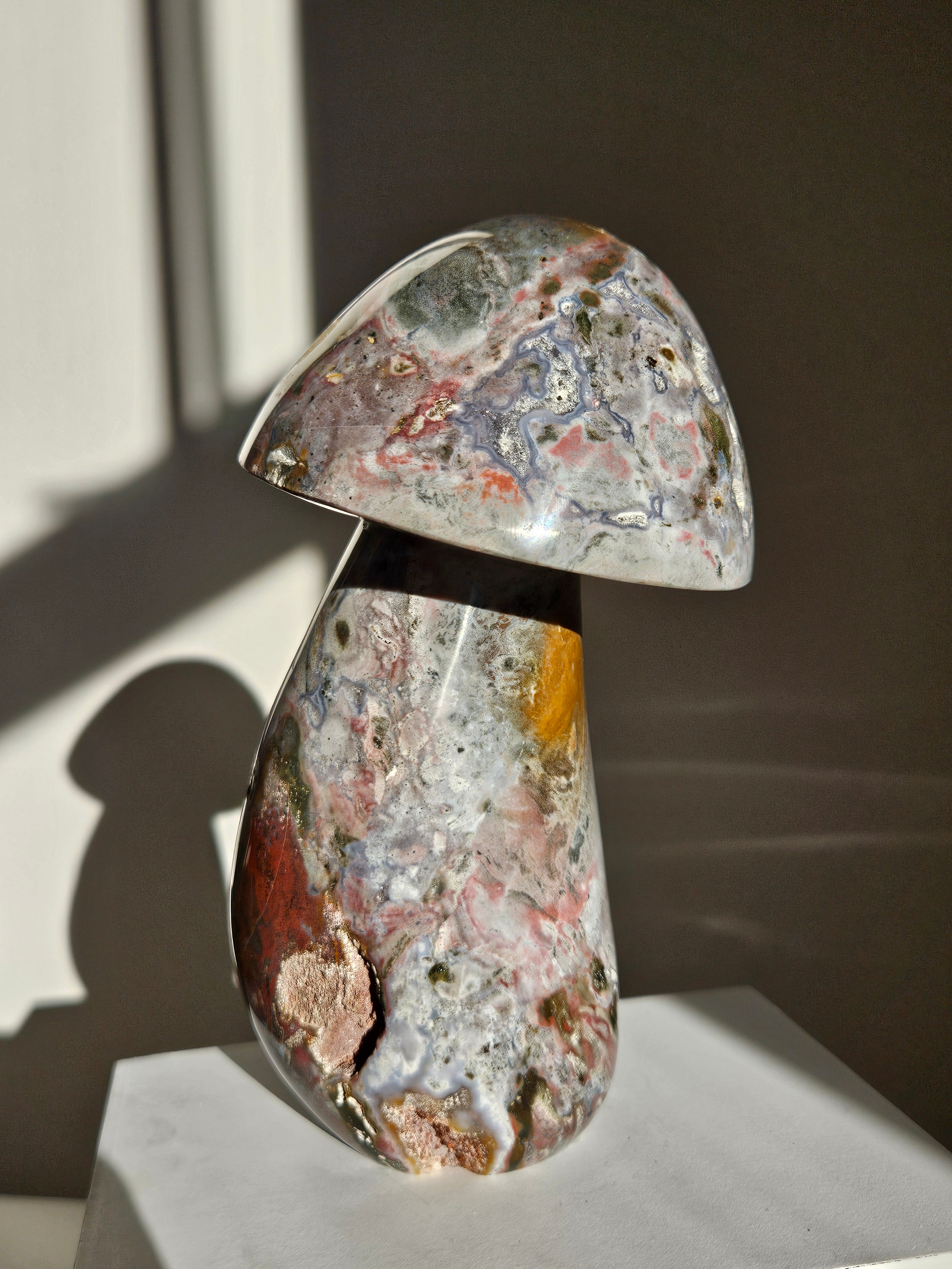 Sea Jasper Mushroom 011