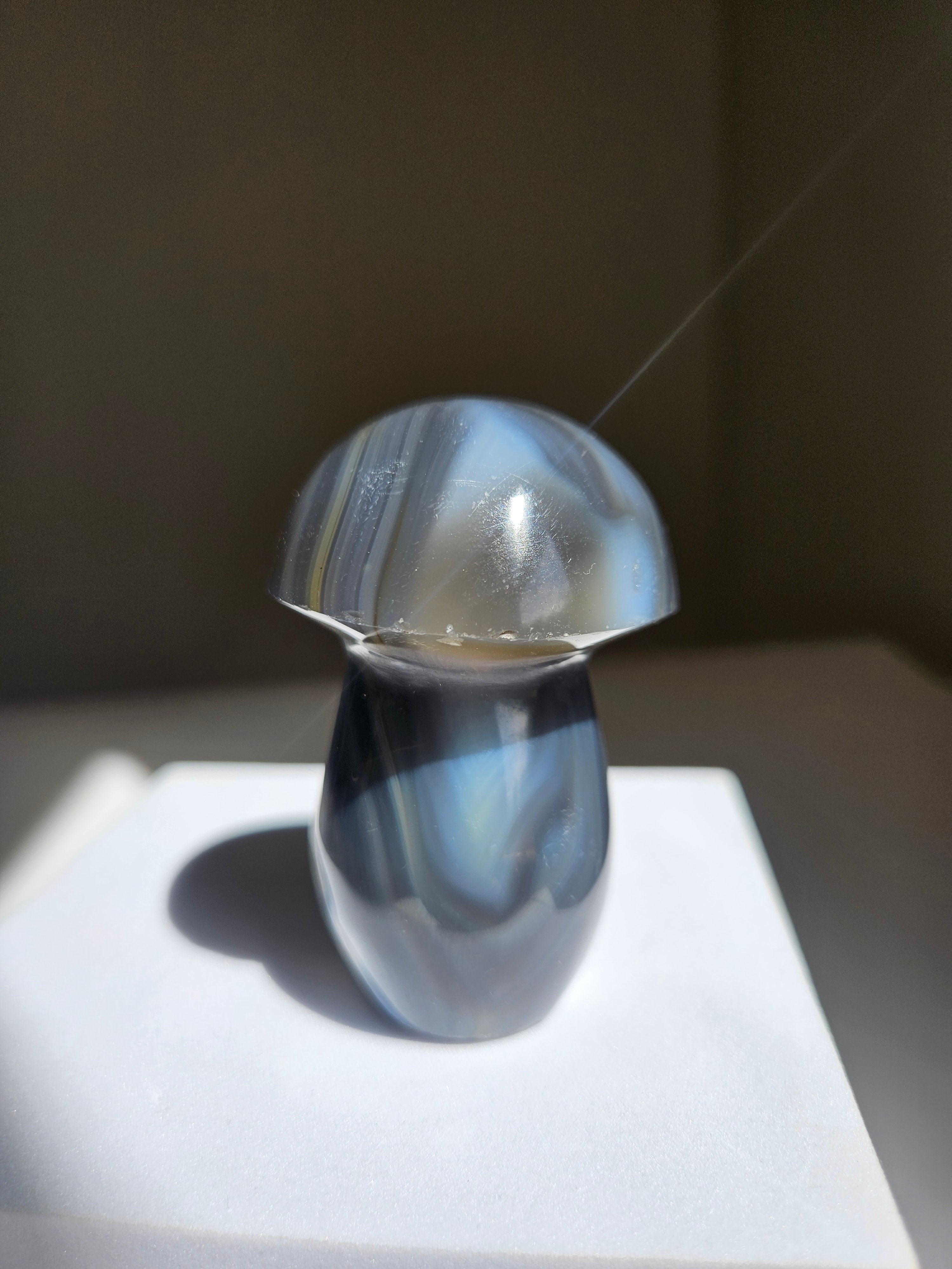 Orca Agate Mushroom 005