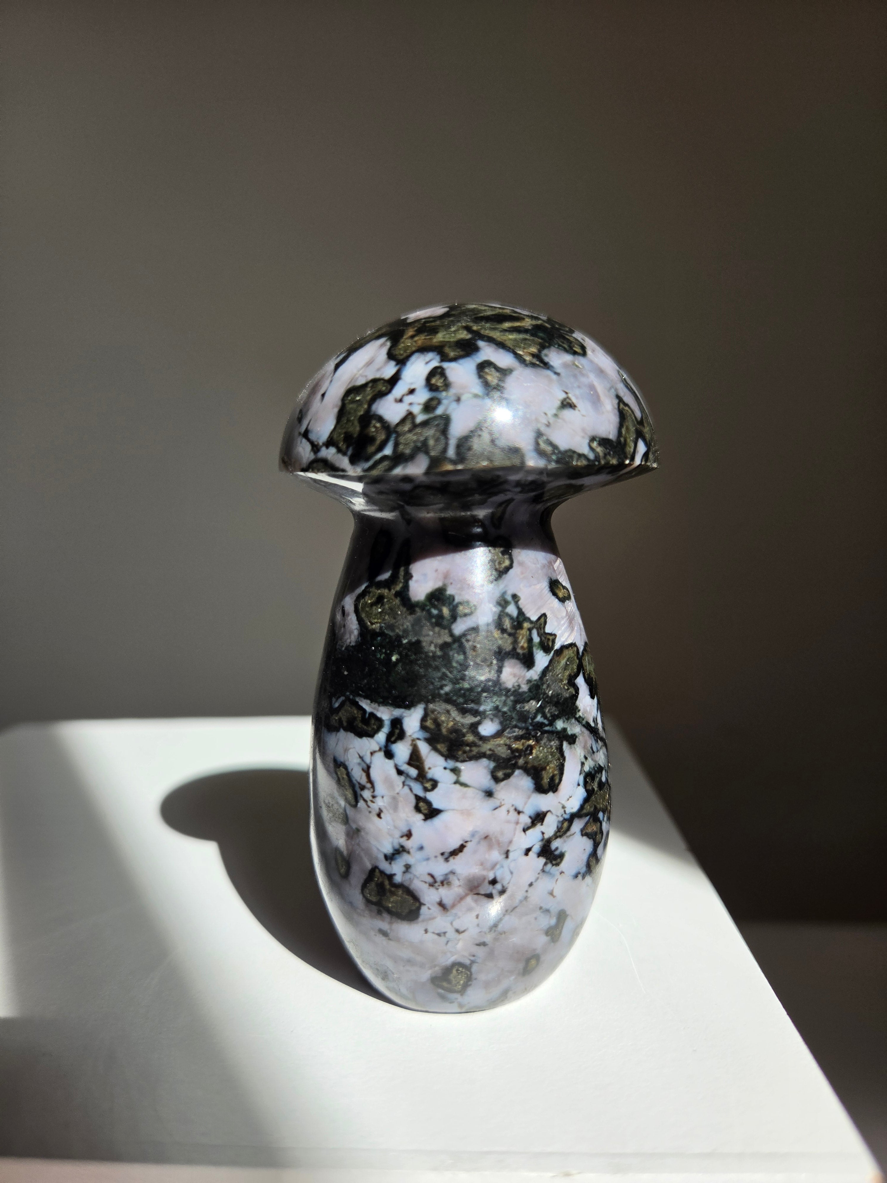 Indigo Gabbro Mushroom 008