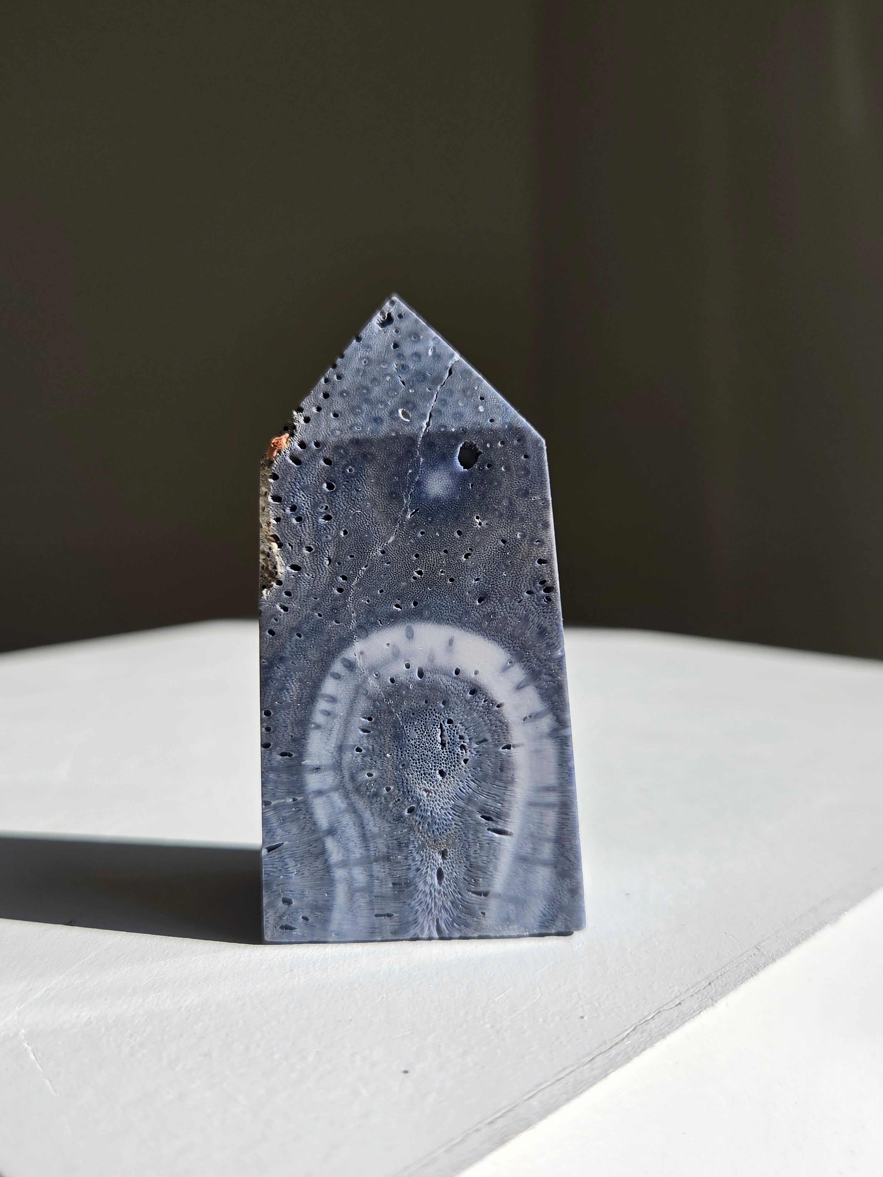 Blue Coral Tower 004
