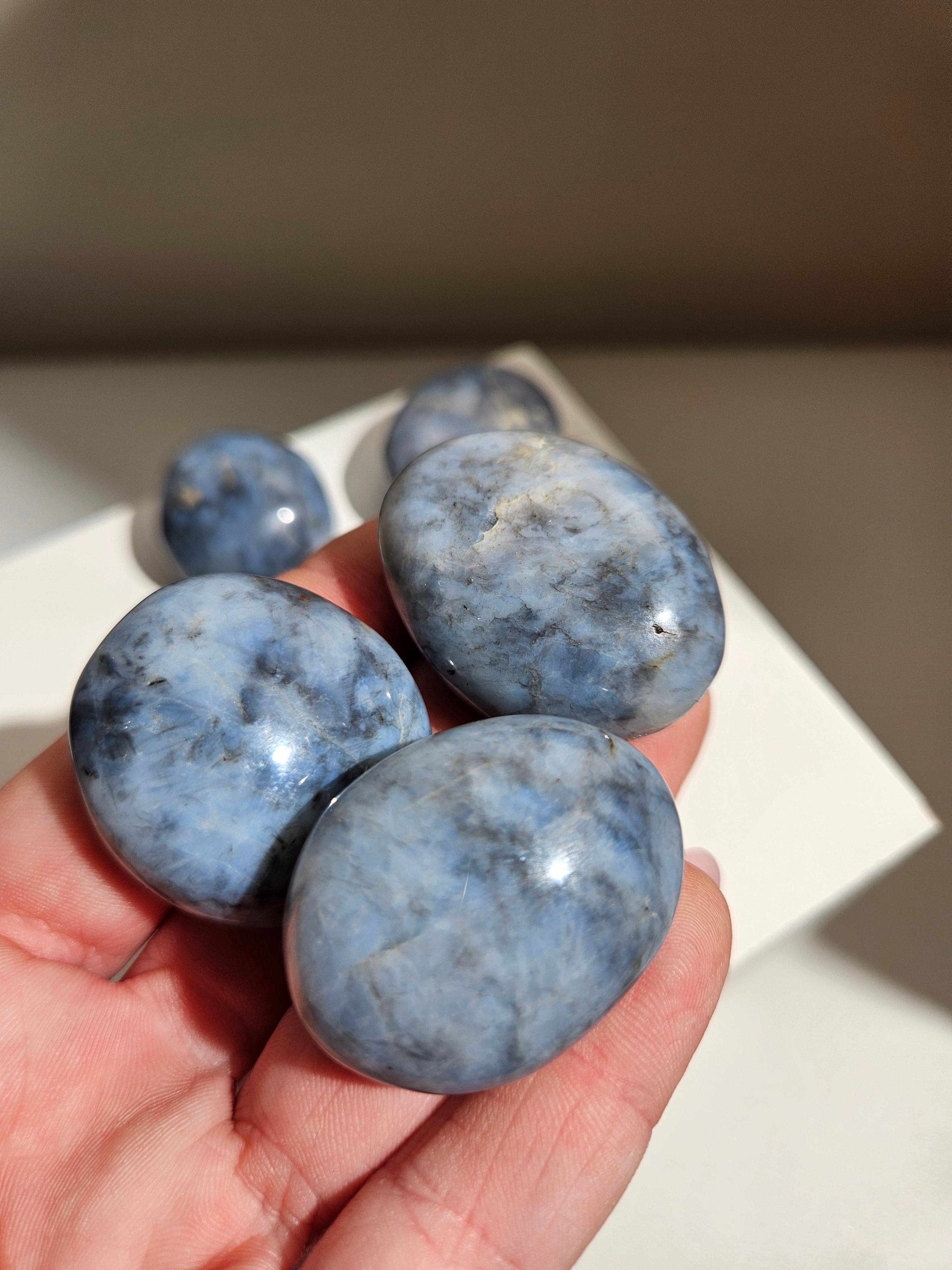 Blue Opal Mini Palm | Intuitively selected