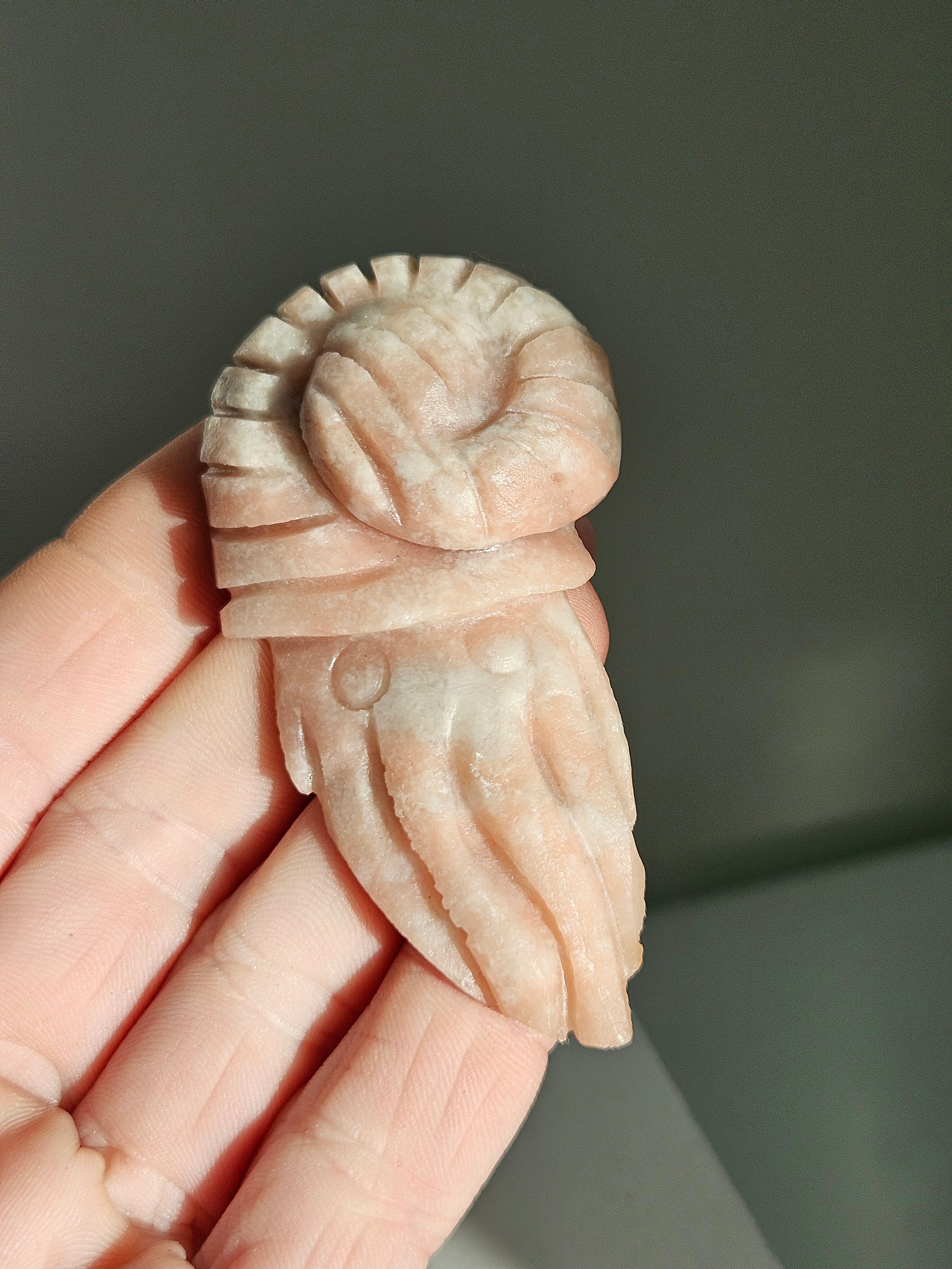 Pink Opal Sea Carving 005