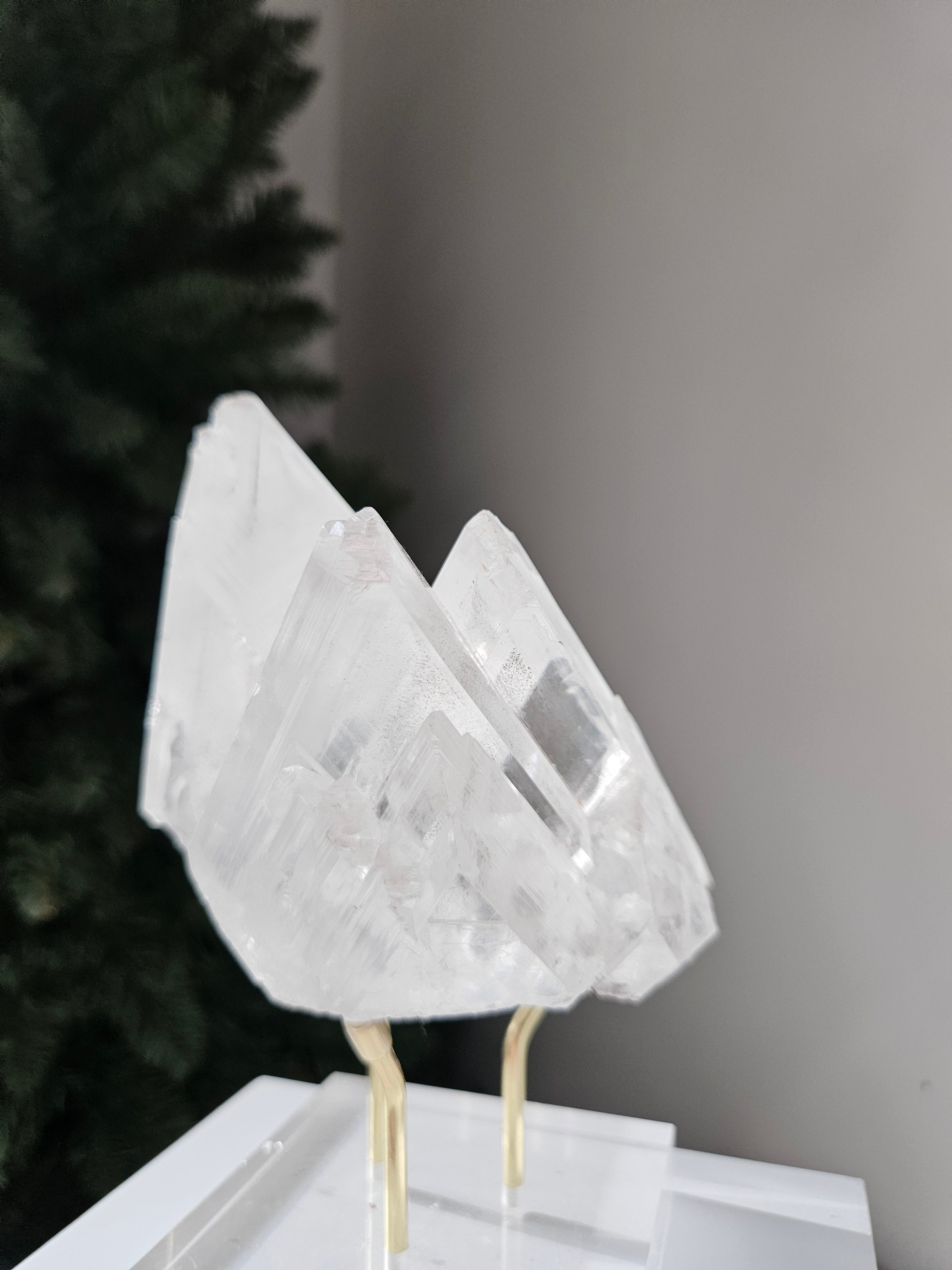 Naica Selenite 004