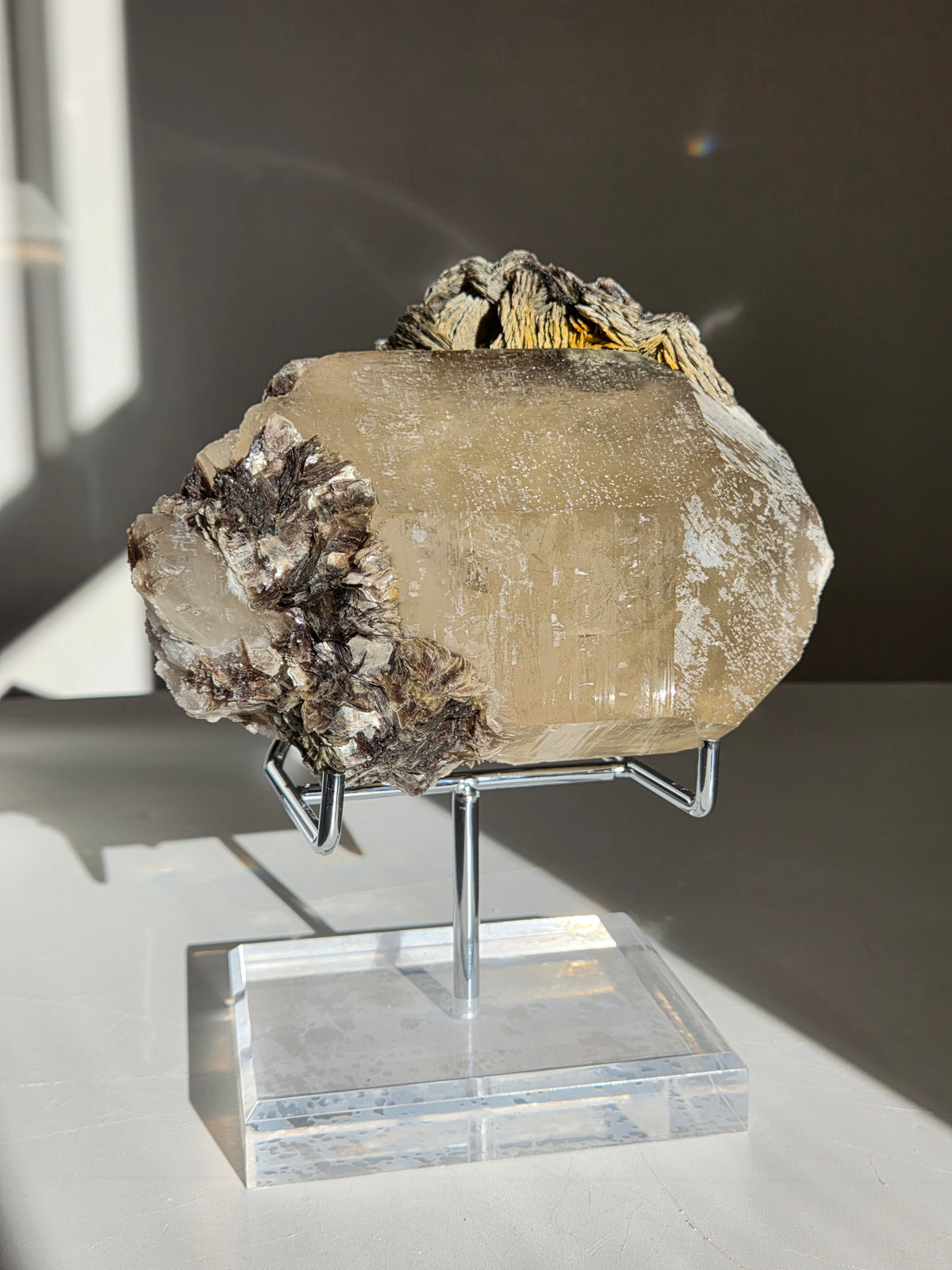Quartz x Golden Mica on stand 009