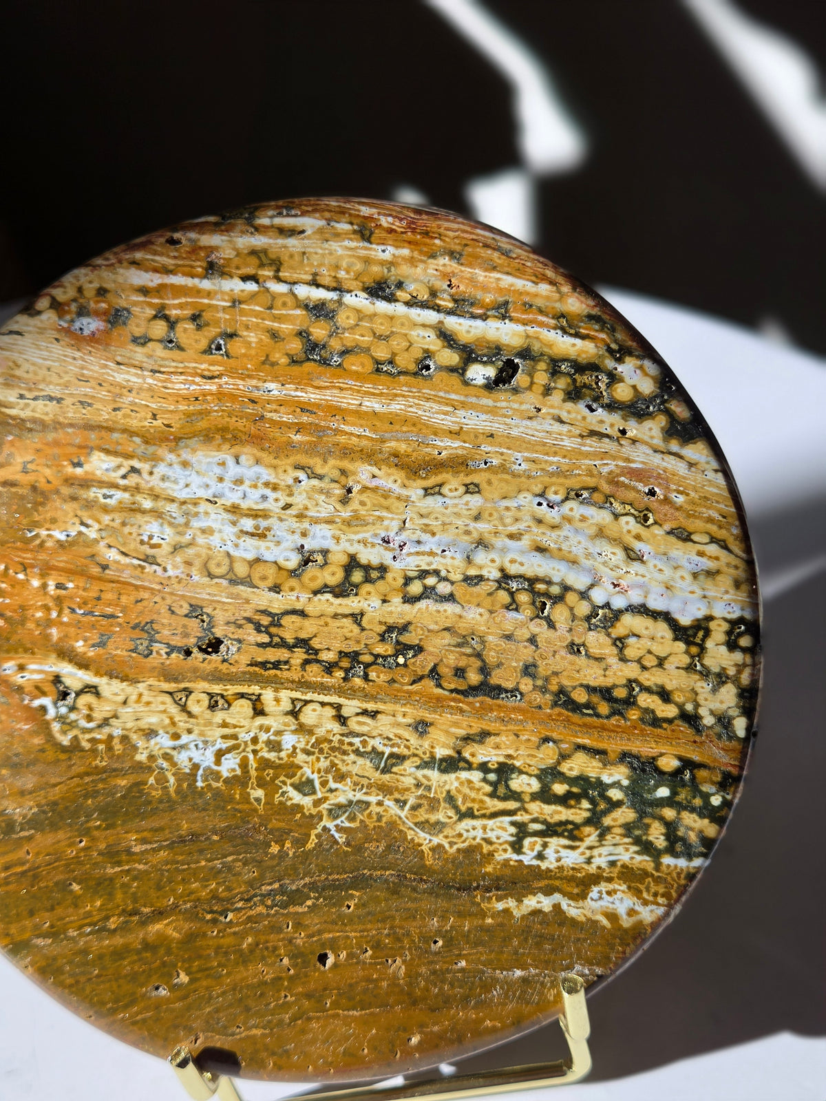 Sea Jasper Slab 008