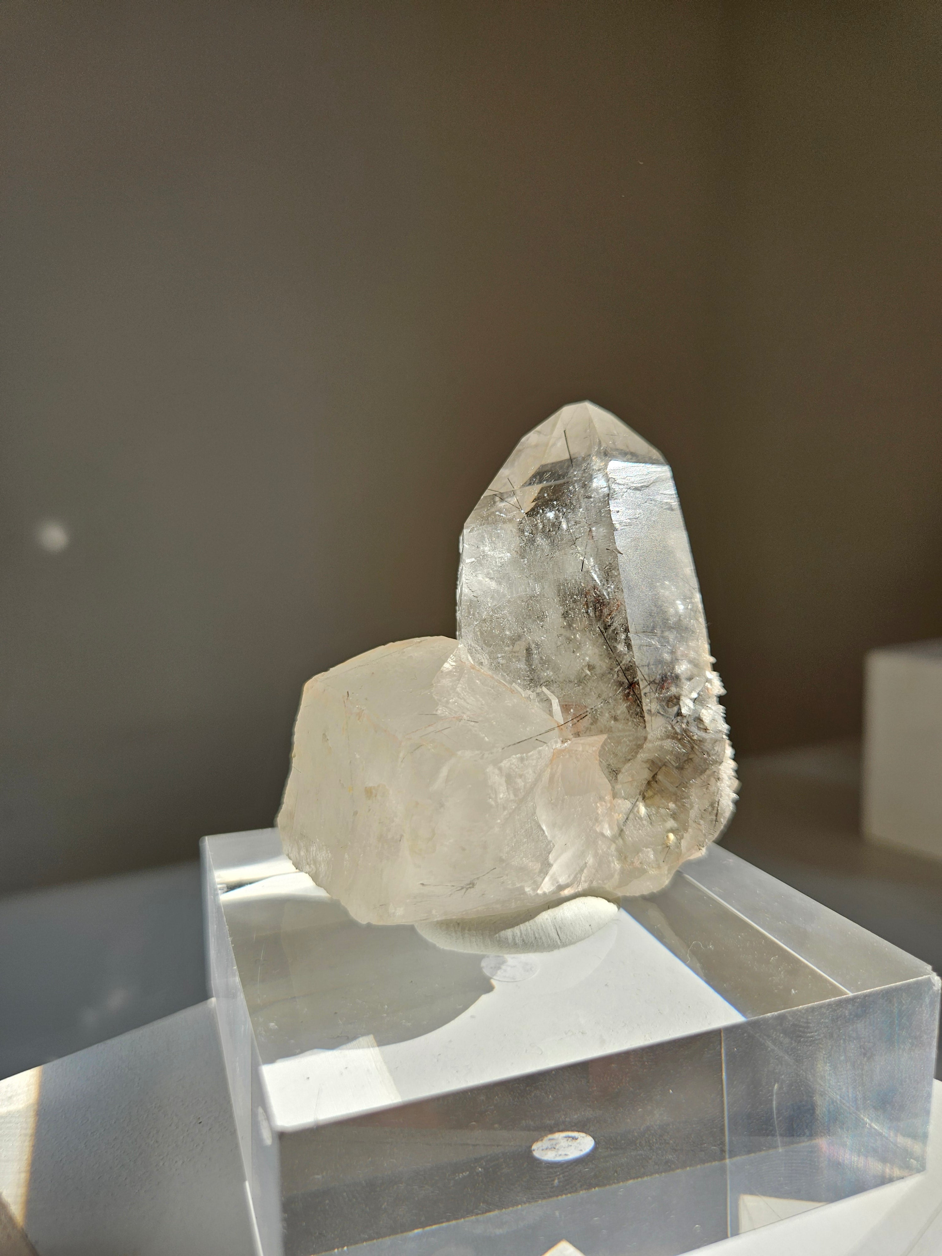 Black Tourmaline in Quartz 009