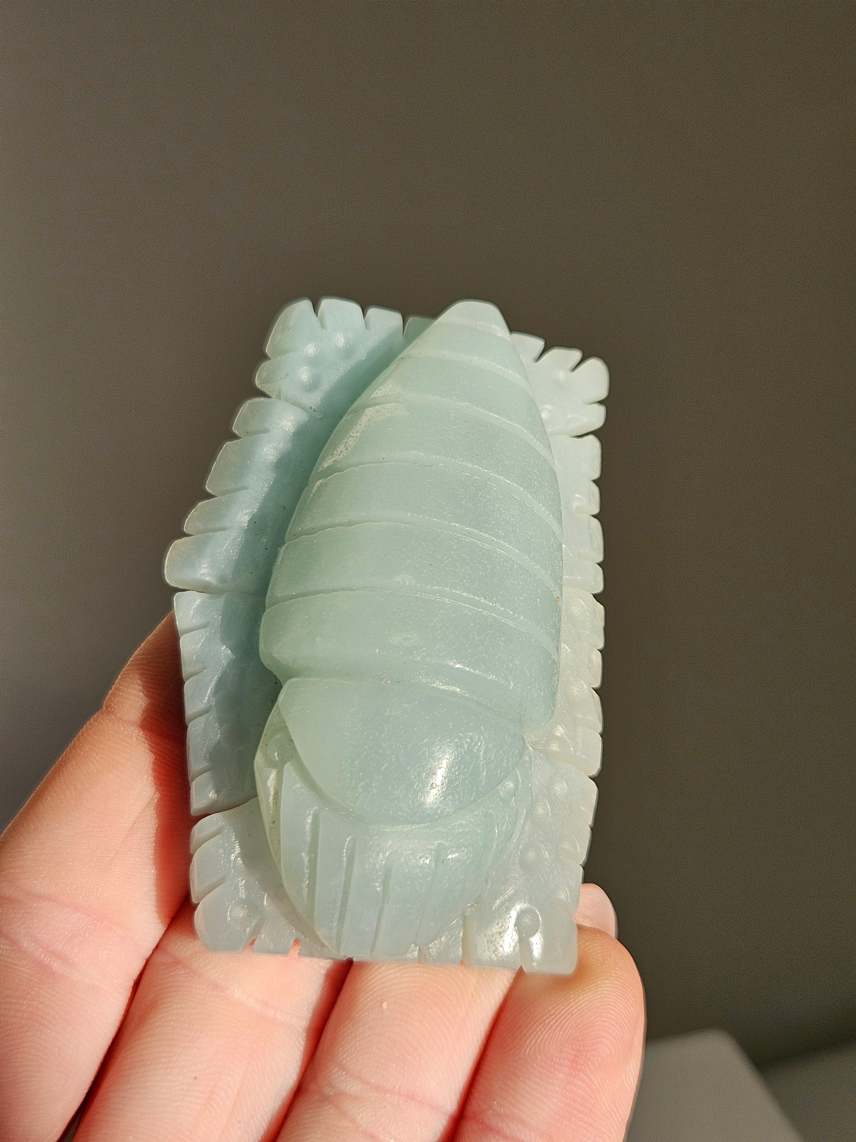 Caribbean Calcite Sea Carving 001