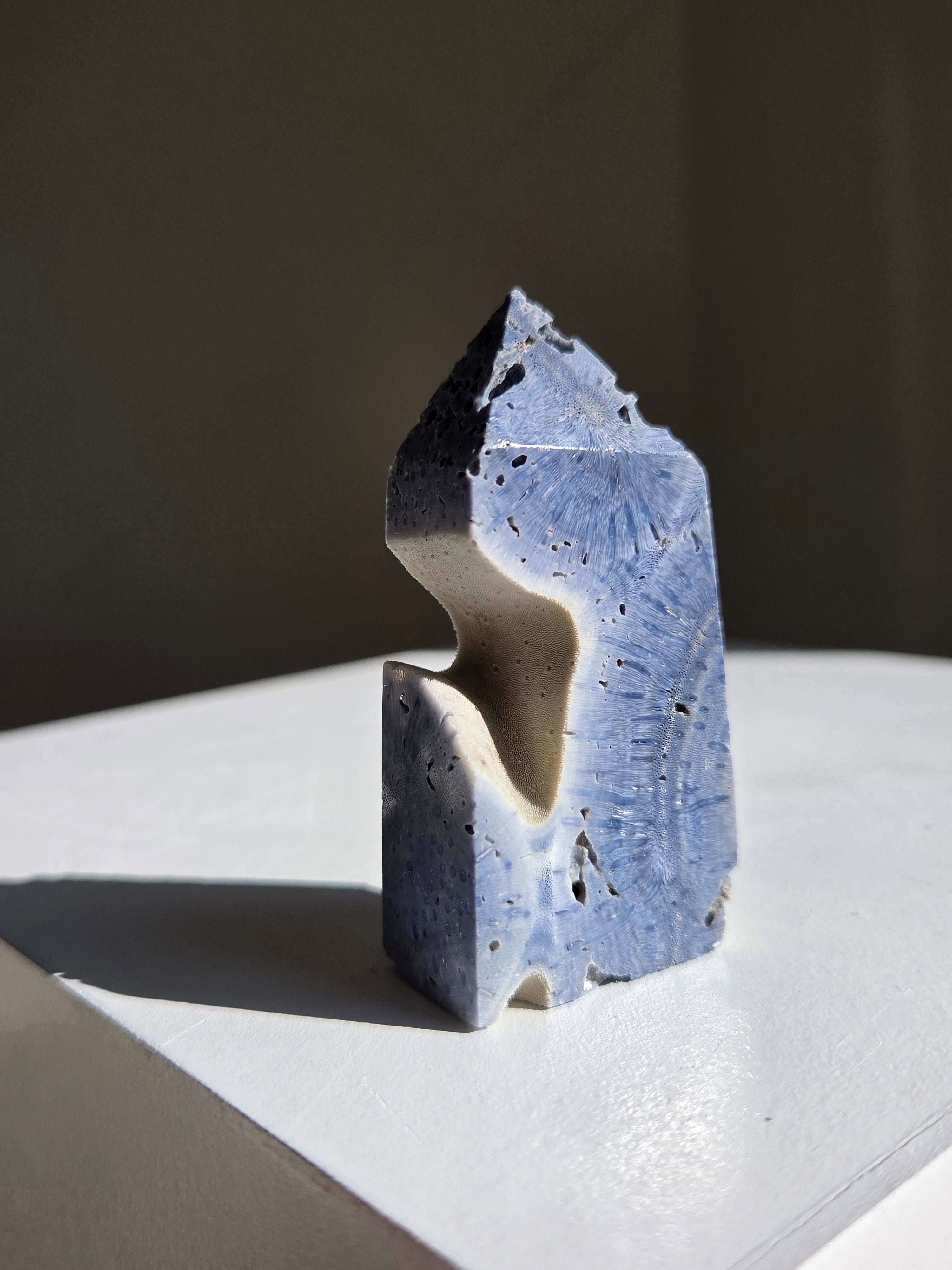 Blue Coral Tower 002