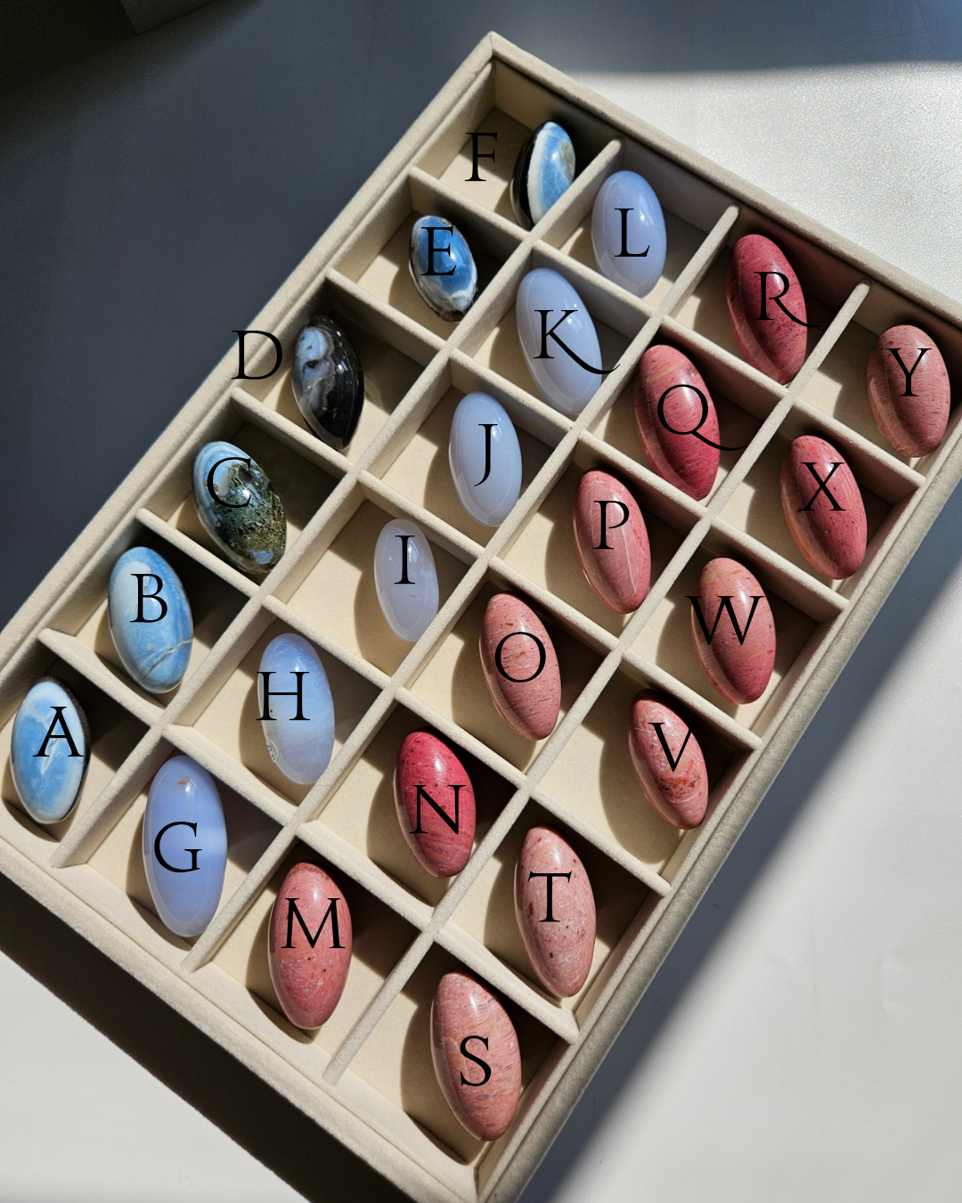 Shivas | select your piece