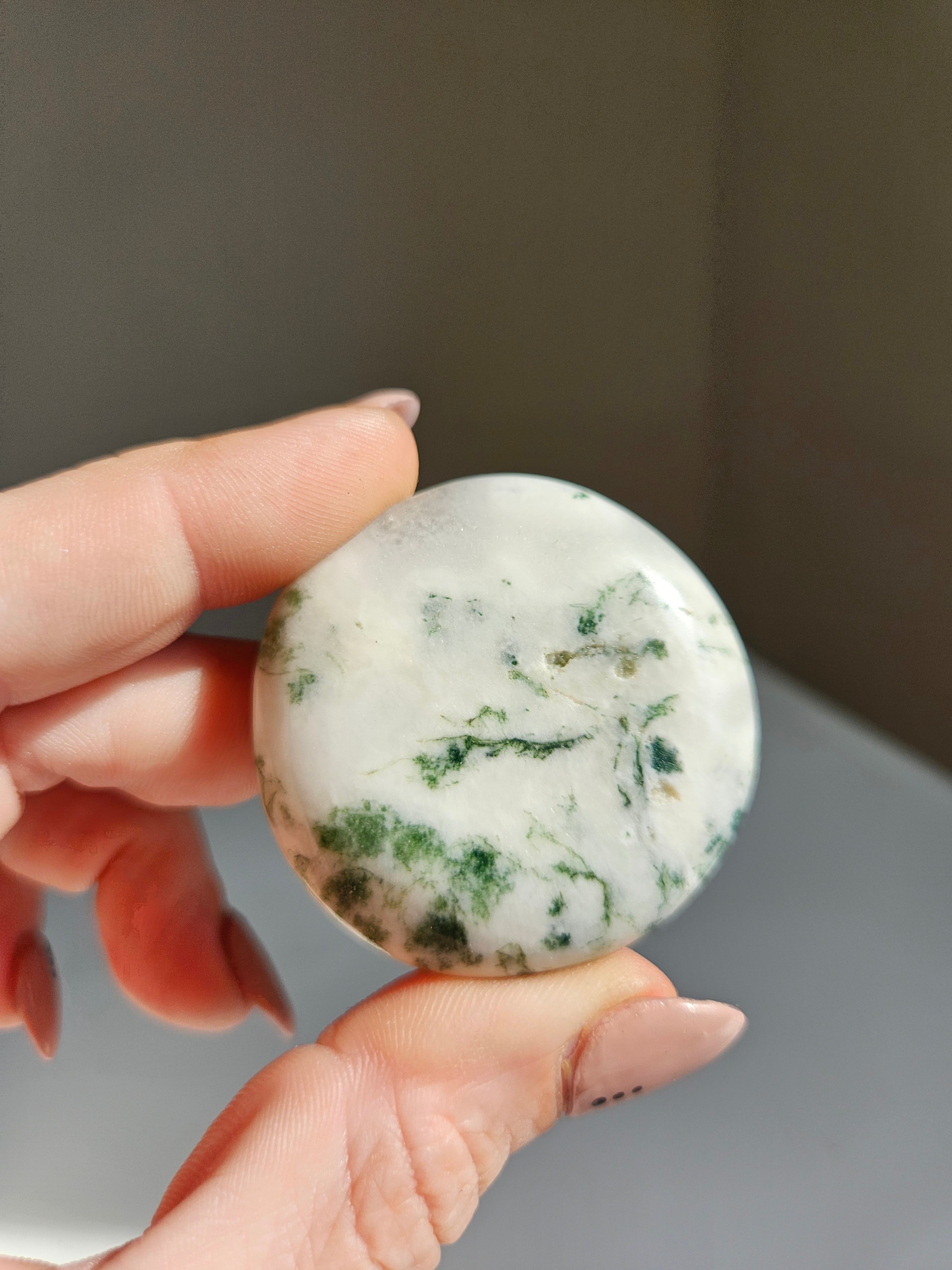 Tree Agate Flat 003