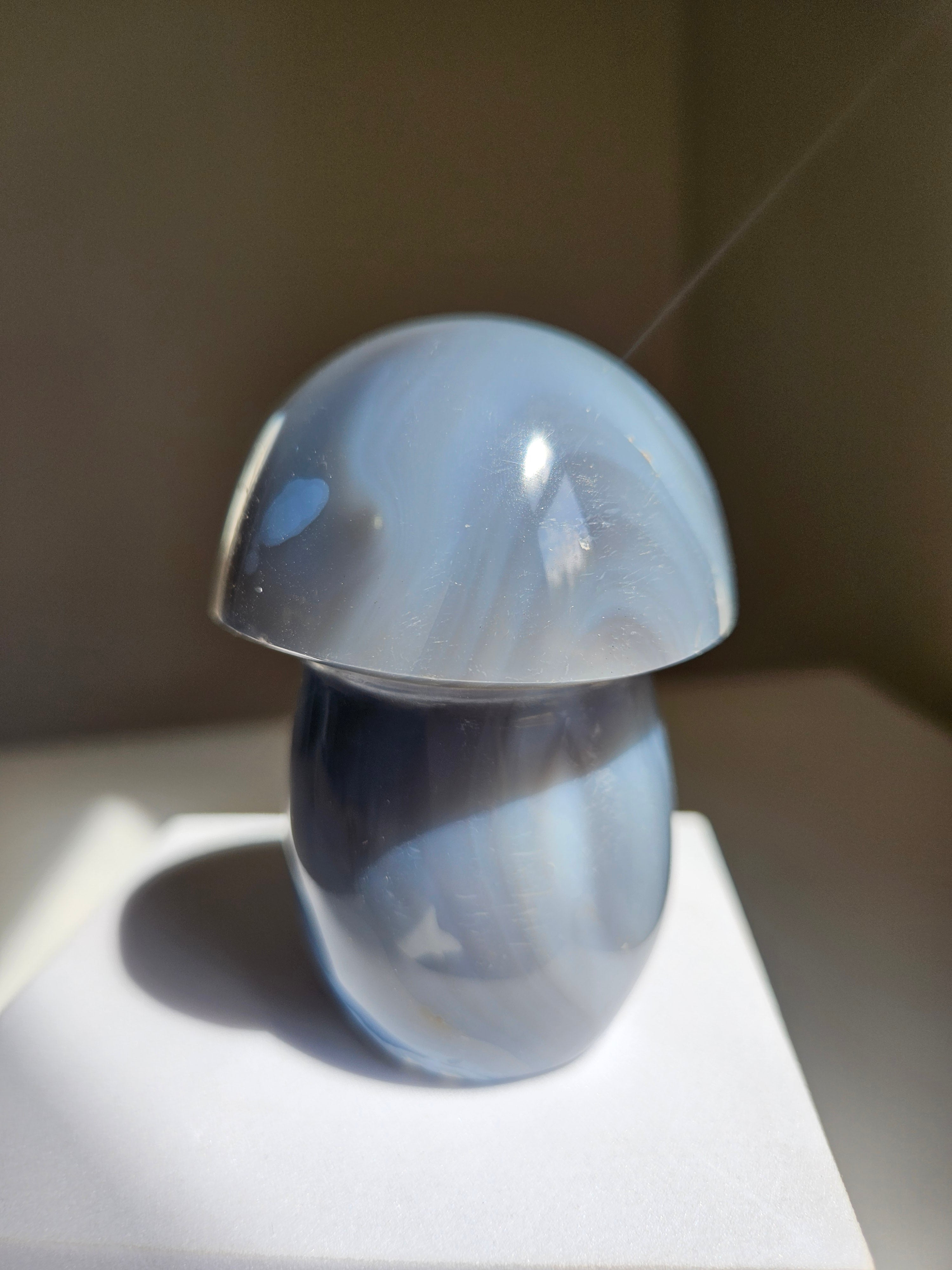 Orca Agate Mushroom 008