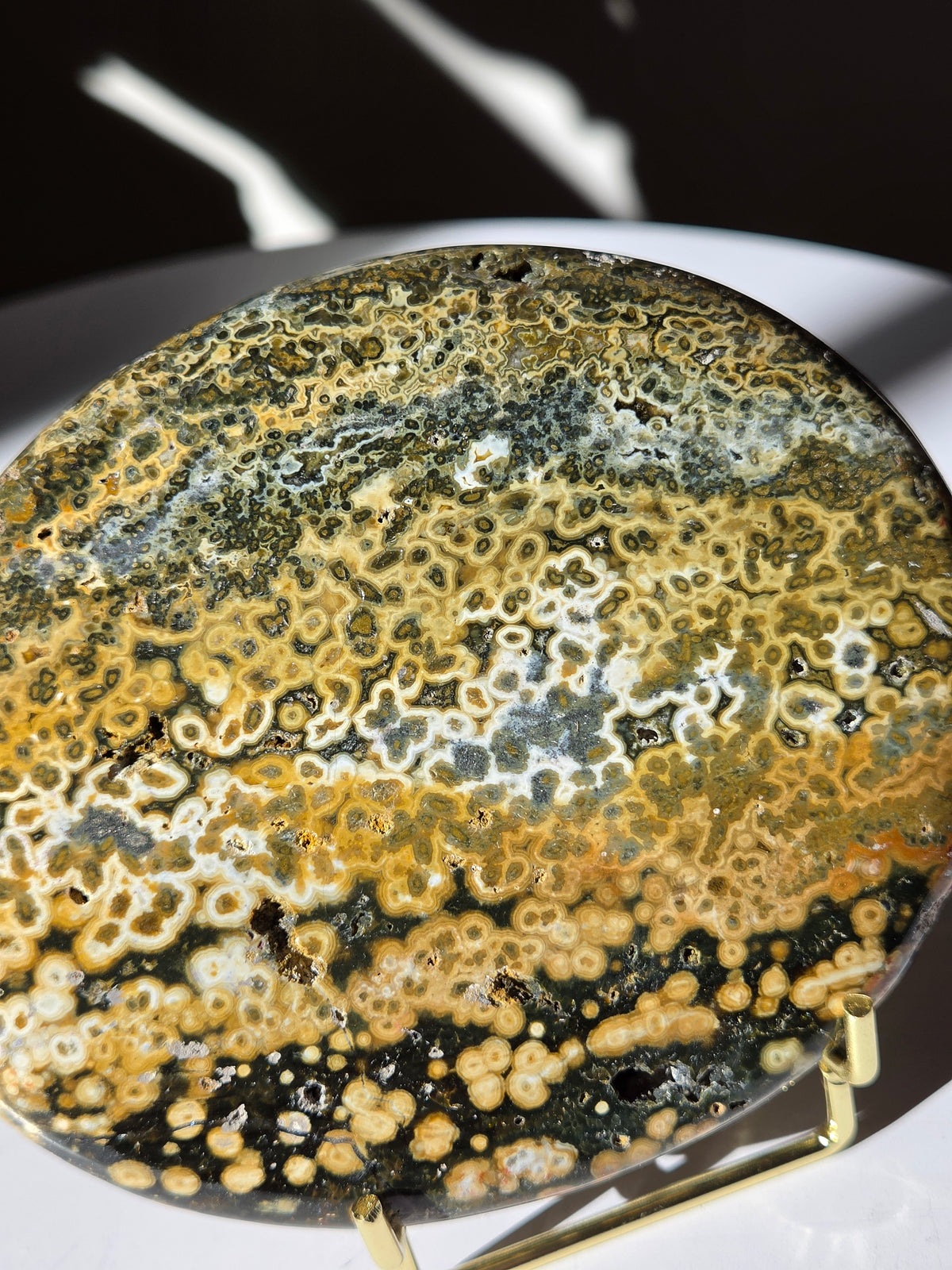 Sea Jasper Slab 010