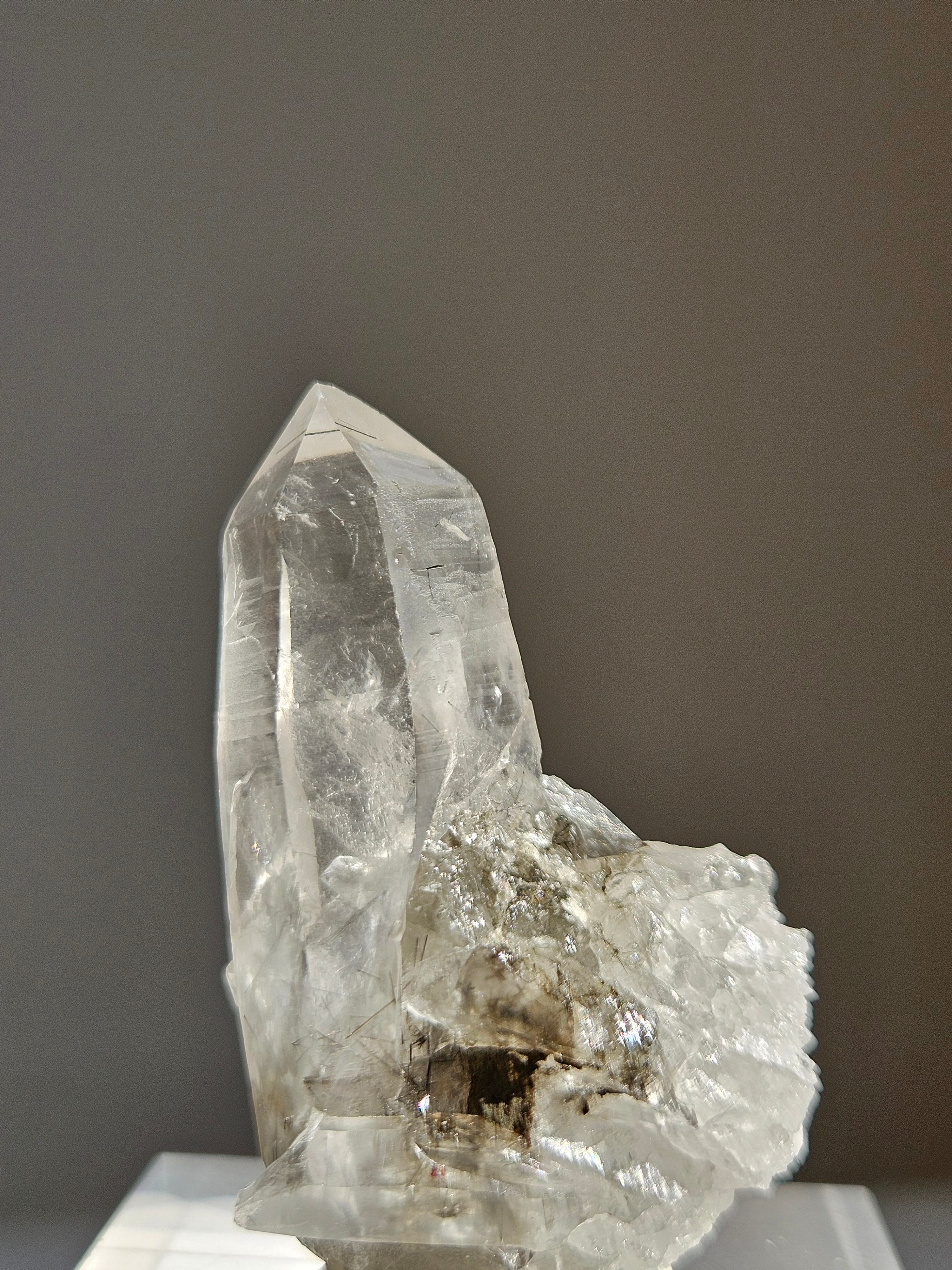 Black Tourmaline in Quartz 004