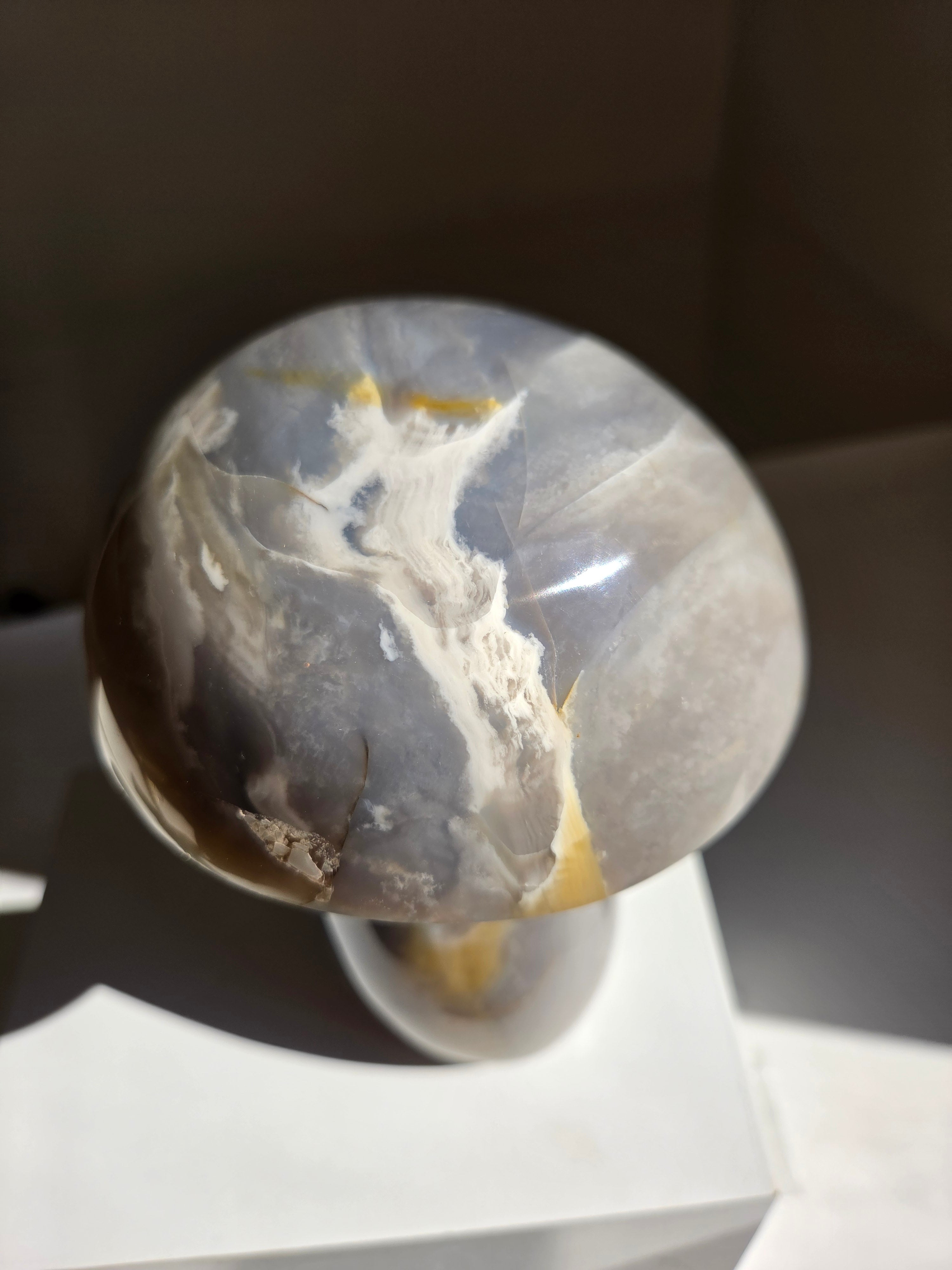 Sea Jasper Mushroom 014
