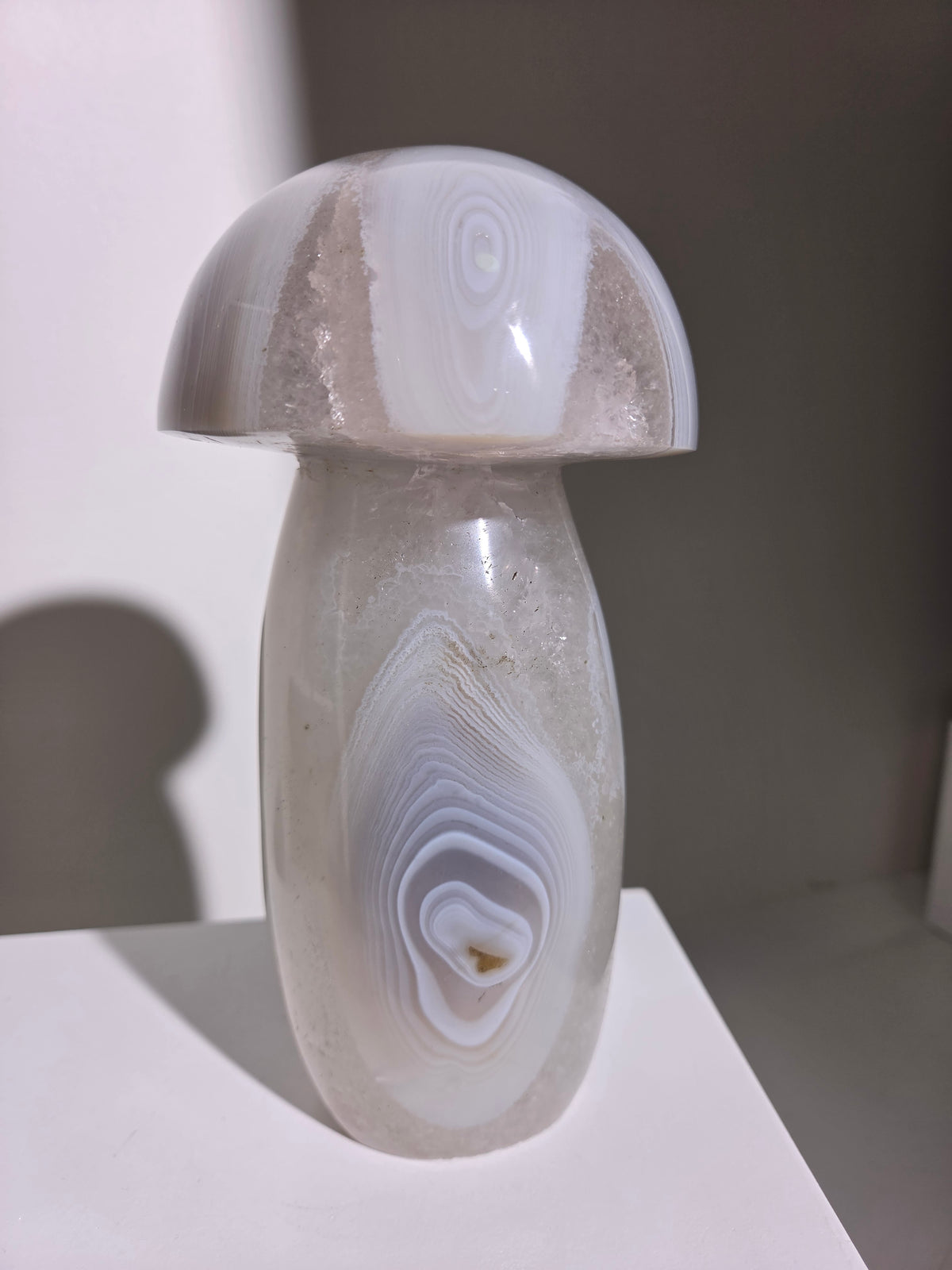 Banded Agate Mushroom