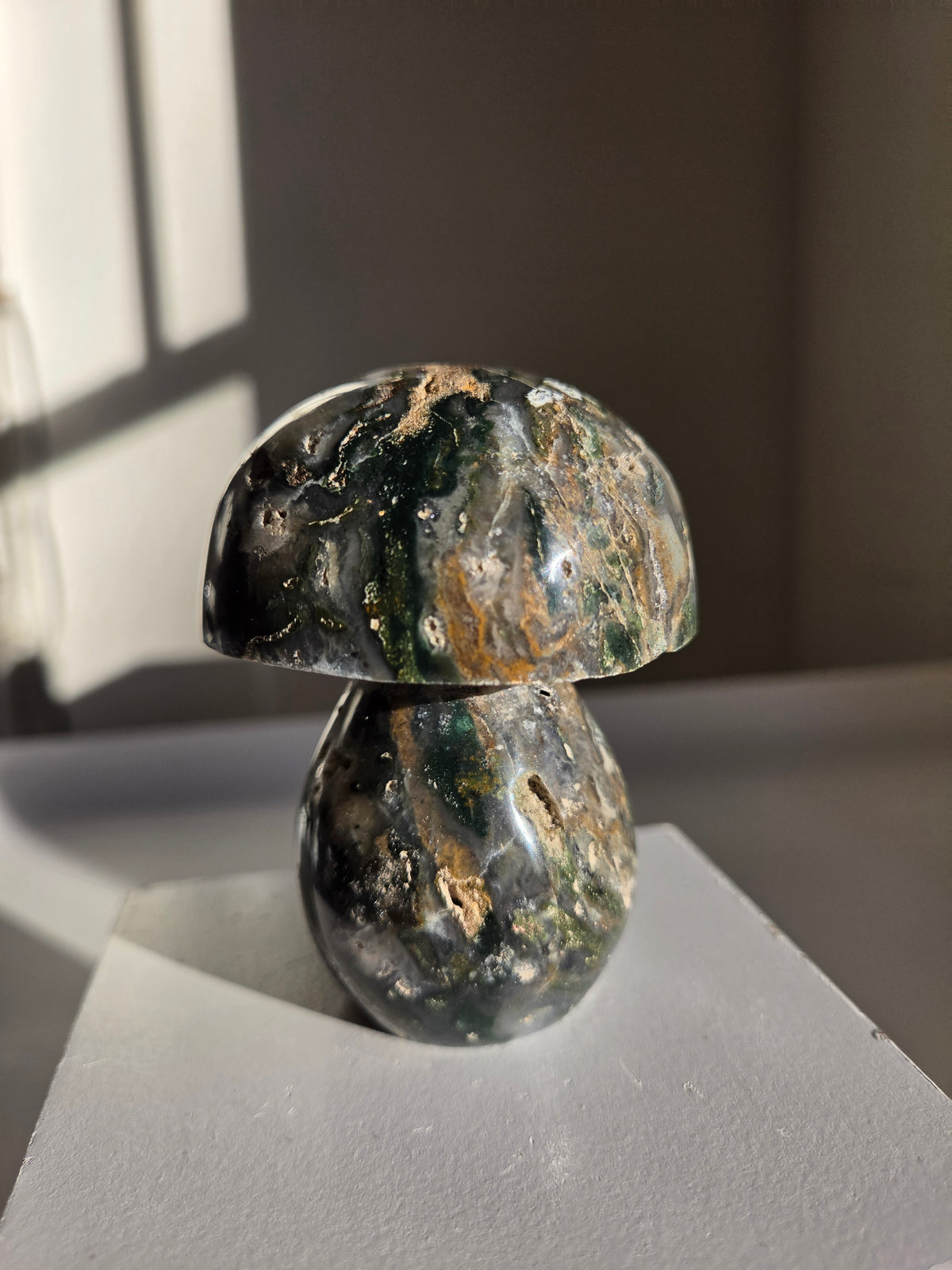 Sea Jasper Mushroom 006