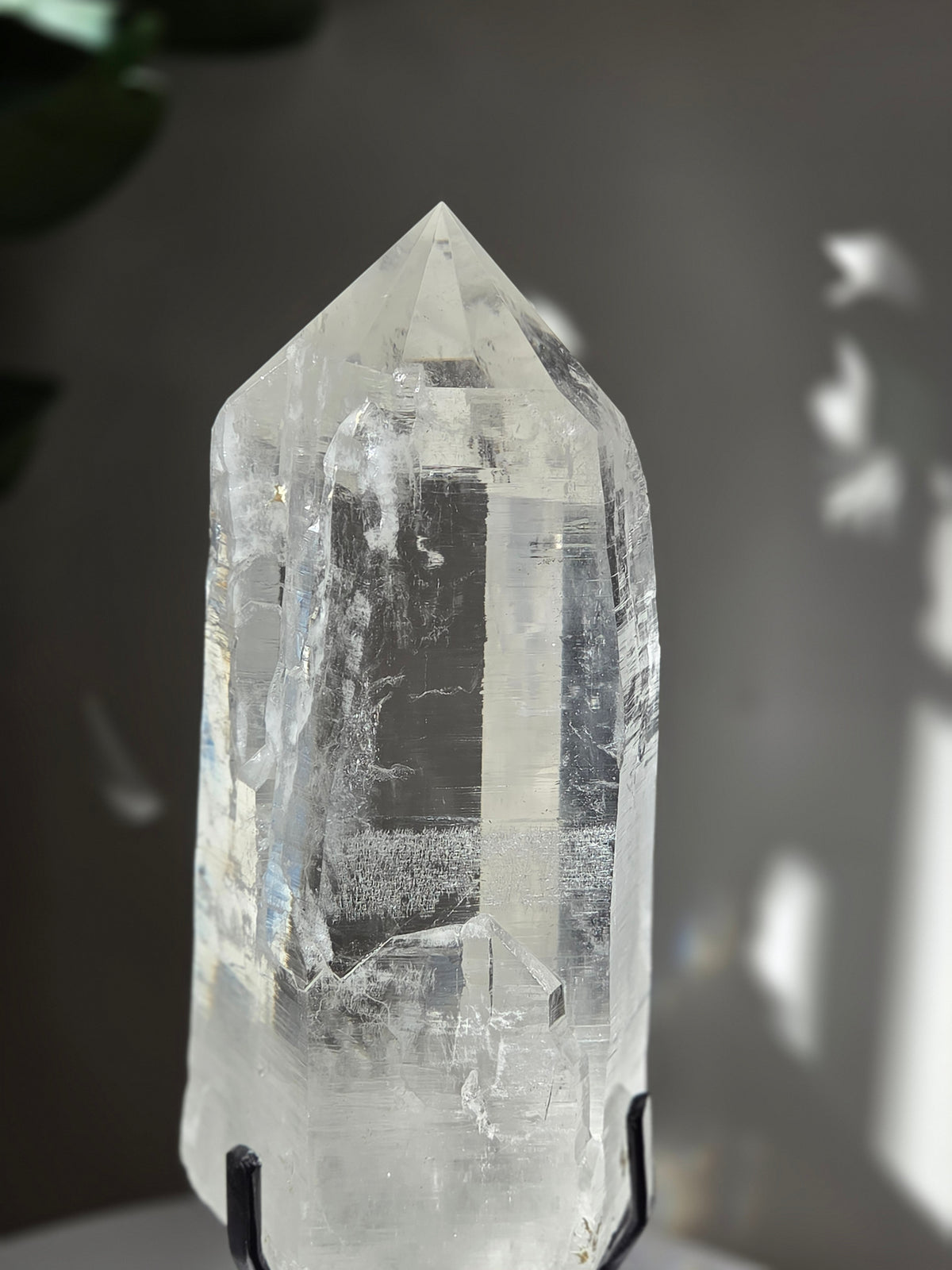 Semipolished Lemurian Quartz Statement